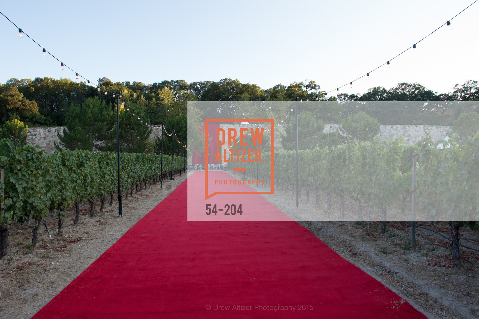 Atmosphere, Festival del Sole Patron Dinner at Quintessa, Quintessa. 1601 Silverado Trail, July 25th, 2015,Drew Altizer, Drew Altizer Photography, full-service agency, private events, San Francisco photographer, photographer california