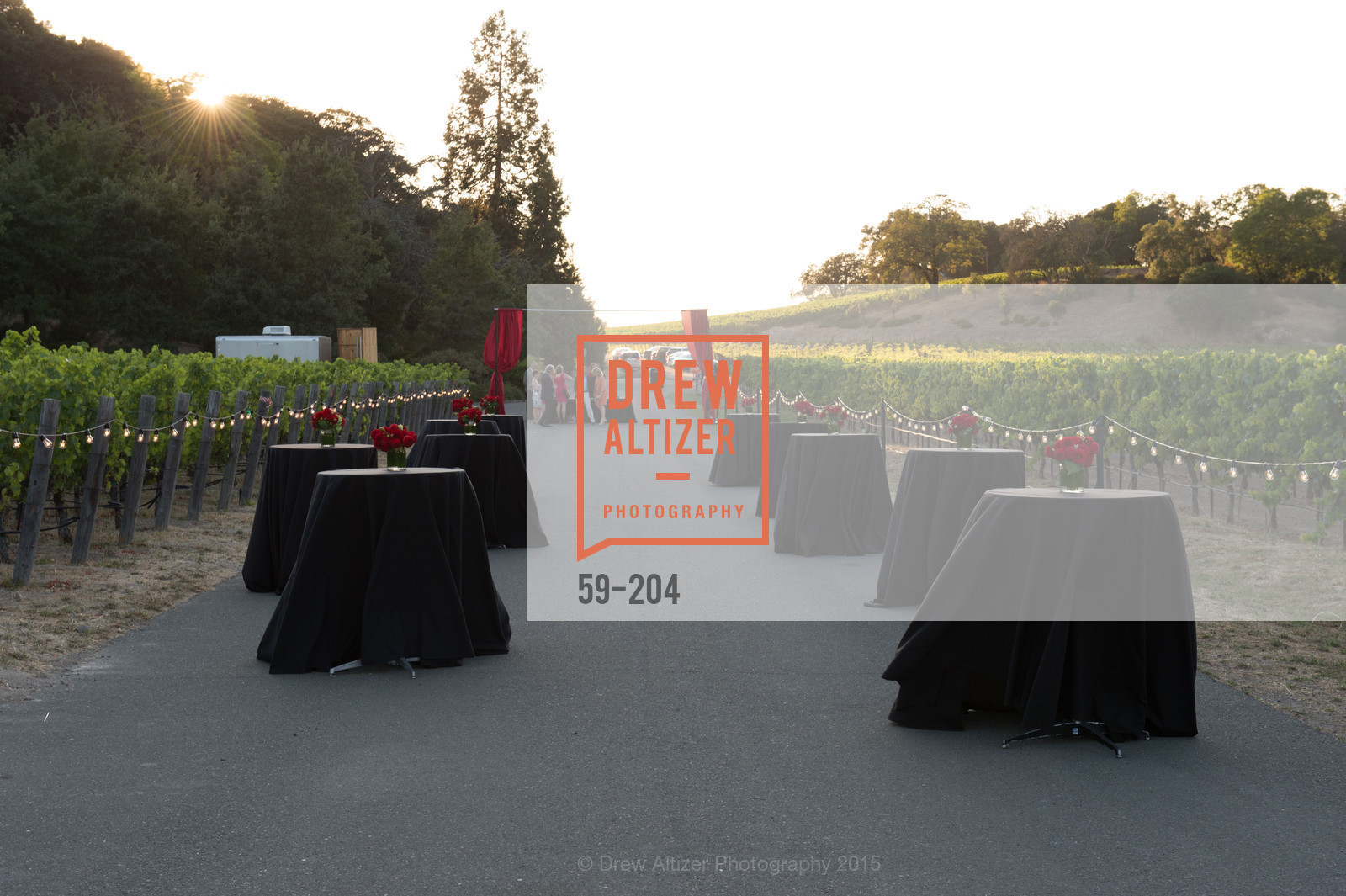 Atmosphere, Festival del Sole Patron Dinner at Quintessa, Quintessa. 1601 Silverado Trail, July 25th, 2015,Drew Altizer, Drew Altizer Photography, full-service agency, private events, San Francisco photographer, photographer california