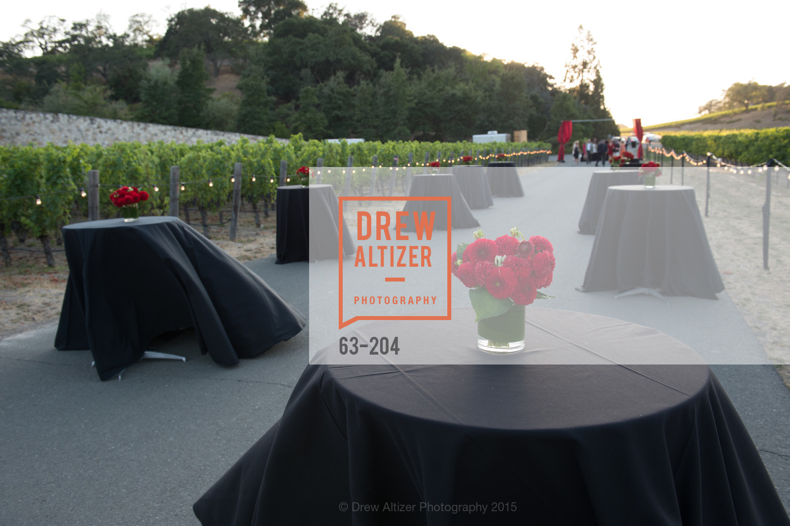 Atmosphere, Festival del Sole Patron Dinner at Quintessa, Quintessa. 1601 Silverado Trail, July 25th, 2015,Drew Altizer, Drew Altizer Photography, full-service agency, private events, San Francisco photographer, photographer california
