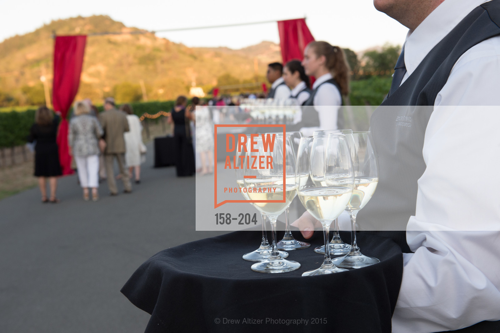 Atmosphere, Festival del Sole Patron Dinner at Quintessa, Quintessa. 1601 Silverado Trail, July 25th, 2015,Drew Altizer, Drew Altizer Photography, full-service agency, private events, San Francisco photographer, photographer california
