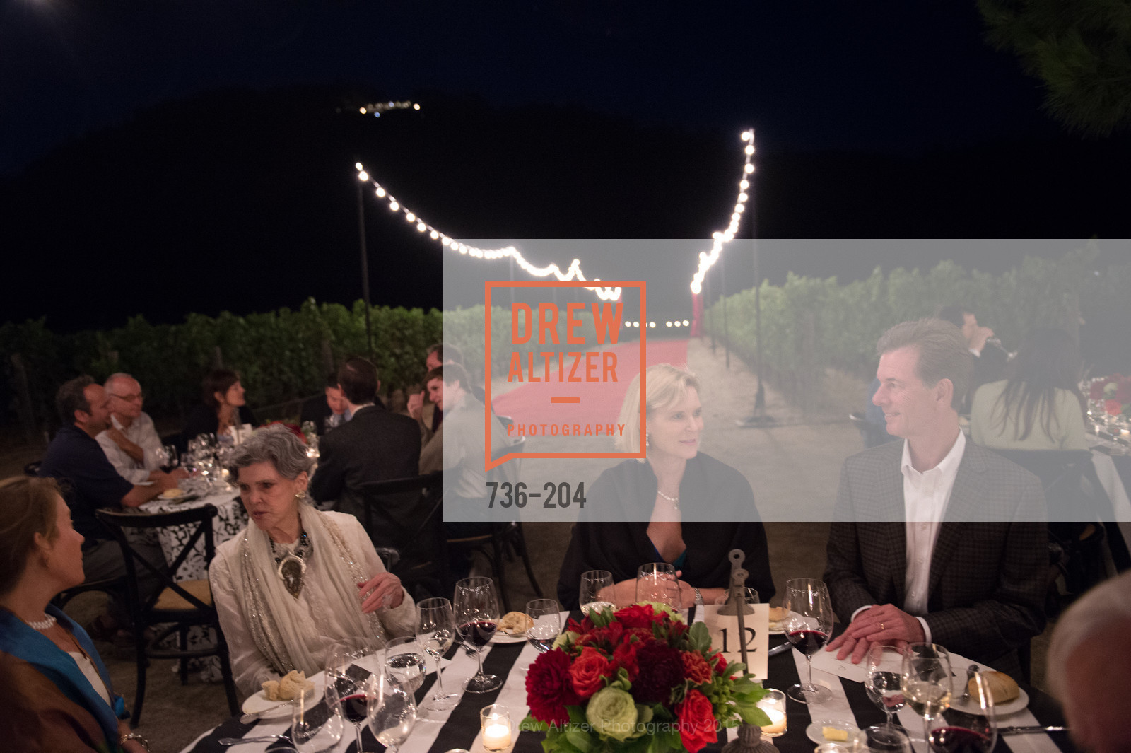 Donna Long, Festival del Sole Patron Dinner at Quintessa, Quintessa. 1601 Silverado Trail, July 25th, 2015,Drew Altizer, Drew Altizer Photography, full-service agency, private events, San Francisco photographer, photographer california