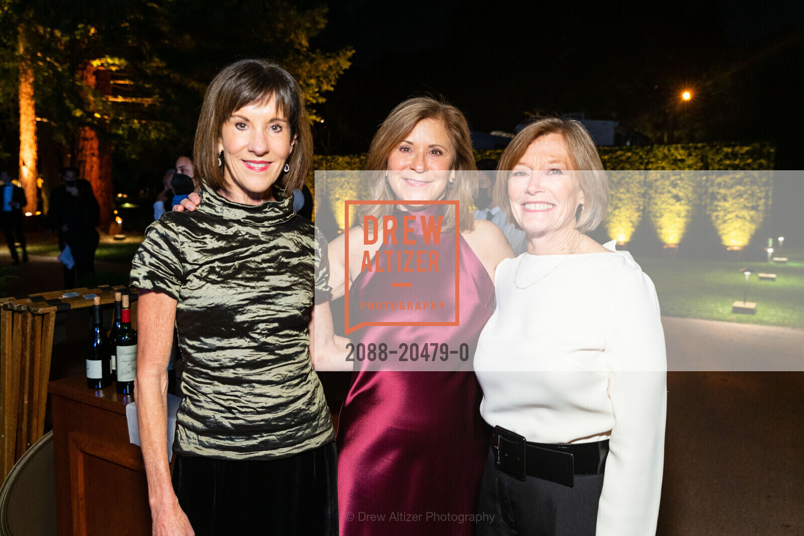 Helen Pyne, MJ Elmore, Gail Kittler, Part The Cloud Gala Benefitting Alzheimer's Association, Private Res, Photo #2088-20479-0 Helen Pyne, MJ Elmore, Gail Kittler, Photo #2088-20479-0