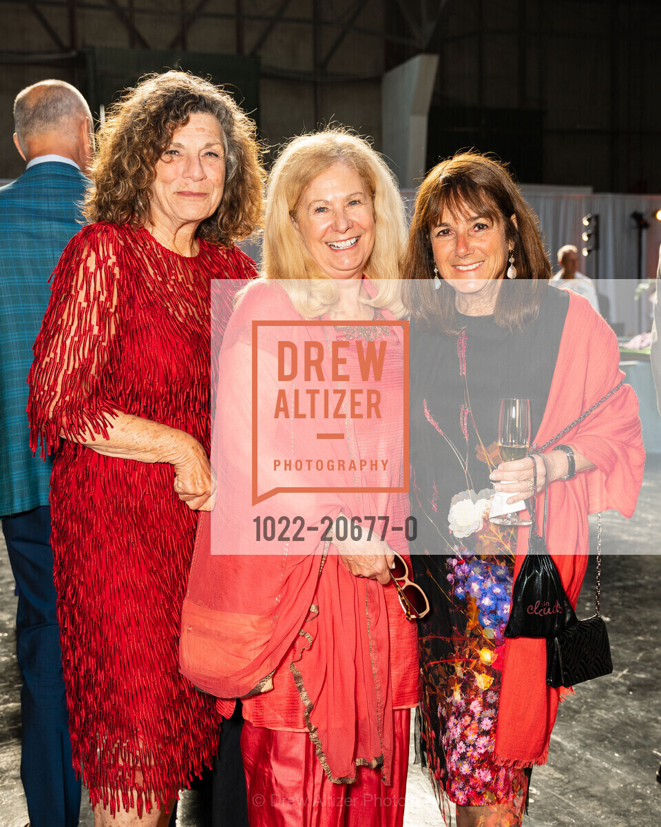 Karen Frankel, Kathryn Hanson, Sheila Wolfson, ReSurge Transformations Gala, Palace of Fine Arts. 3601 Lyon St, Photo #1022-20677-0 Karen Frankel, Kathryn Hanson, Sheila Wolfson, Photo #1022-20677-0