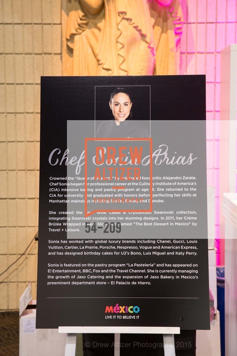 atmosphere, MEX I AM: 2015 Gala, July 22nd, 2015, Photo,Drew Altizer, Drew Altizer Photography, full-service agency, private events, San Francisco photographer, photographer california