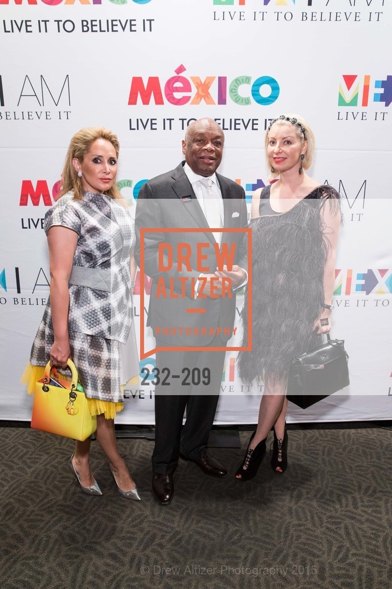 Step & Repeat, MEX I AM: 2015 Gala, July 22nd, 2015, Photo,Drew Altizer, Drew Altizer Photography, full-service agency, private events, San Francisco photographer, photographer california