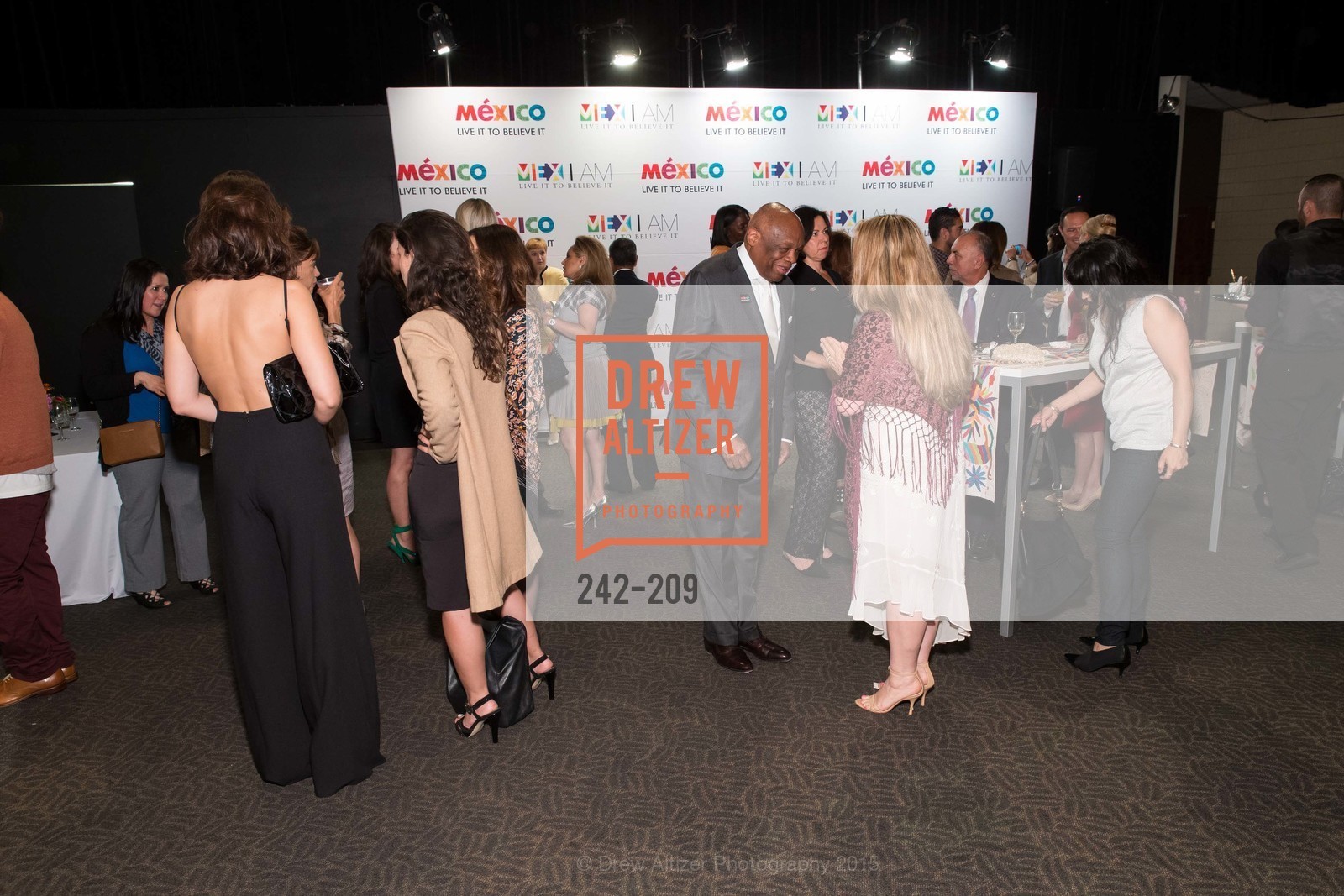 atmosphere, MEX I AM: 2015 Gala, July 22nd, 2015, Photo