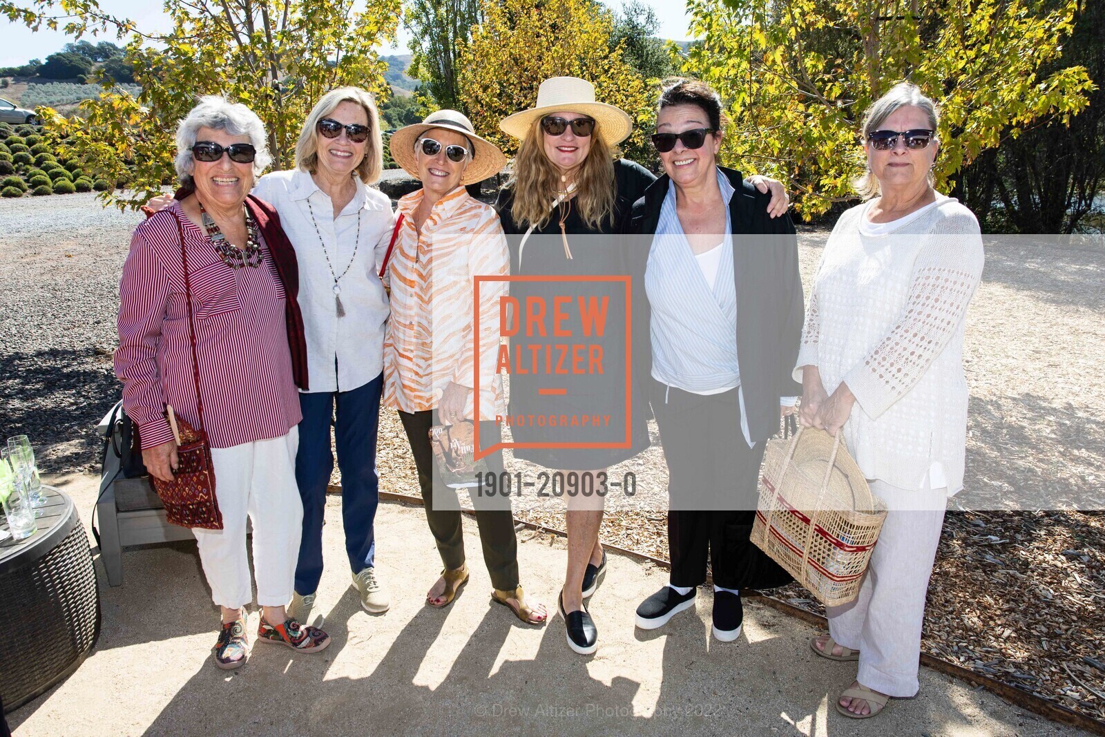 Arlene Bernstein, Kate Eilertsen, Cindy Pawlcyn, Christy Pestoni, Regina Coppola, Lisa Neil, ODC's Fall for Art 2022, McEvoy Ranch. 5935 red hill road petaluma ca, October 2nd, 2022, Photo #1901-20903-0 Arlene Bernstein, Kate Eilertsen, Cindy Pawlcyn, Christy Pestoni, Regina Coppola, Lisa Neil, Photo #1901-20903-0