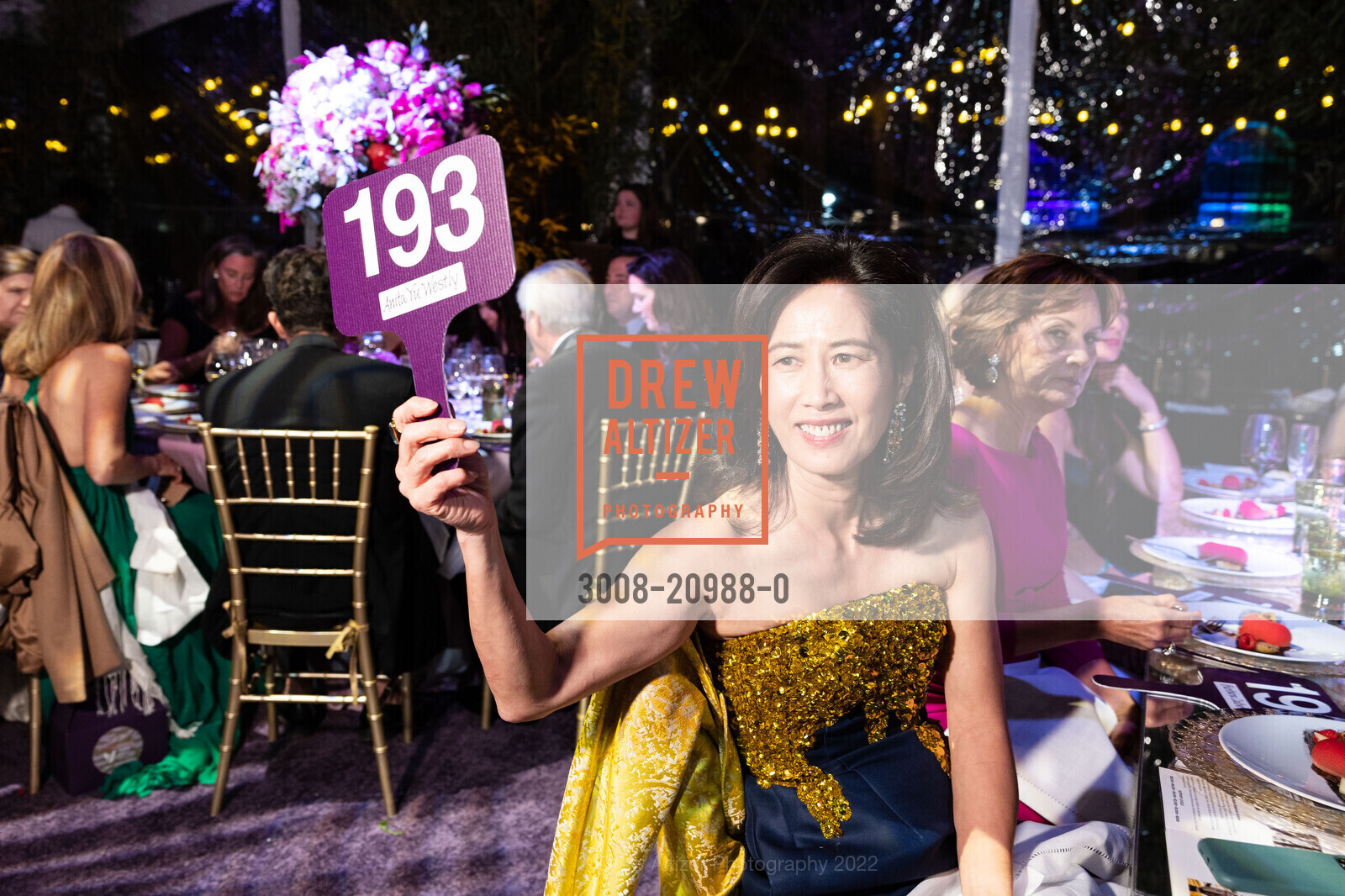 Anita Westly, Asian Art Museum Tiger Gala 2022, Asian Art Museum. 200 Larkin St, San Francisco, CA 94102, November 3rd, 2022, Photo #3008-20988-0 Anita Westly, Photo #3008-20988-0