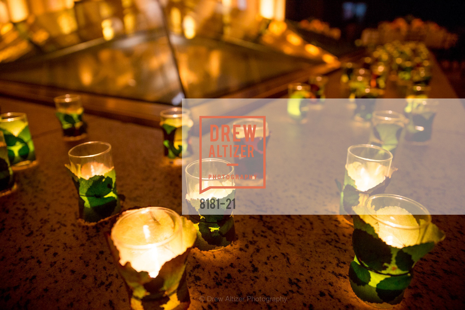 New empty gallery, DIOR and CONDE NAST Sponsor the MidWinter Gala, March 26th, 2015, Photo,Drew Altizer, Drew Altizer Photography, full-service agency, private events, San Francisco photographer, photographer california