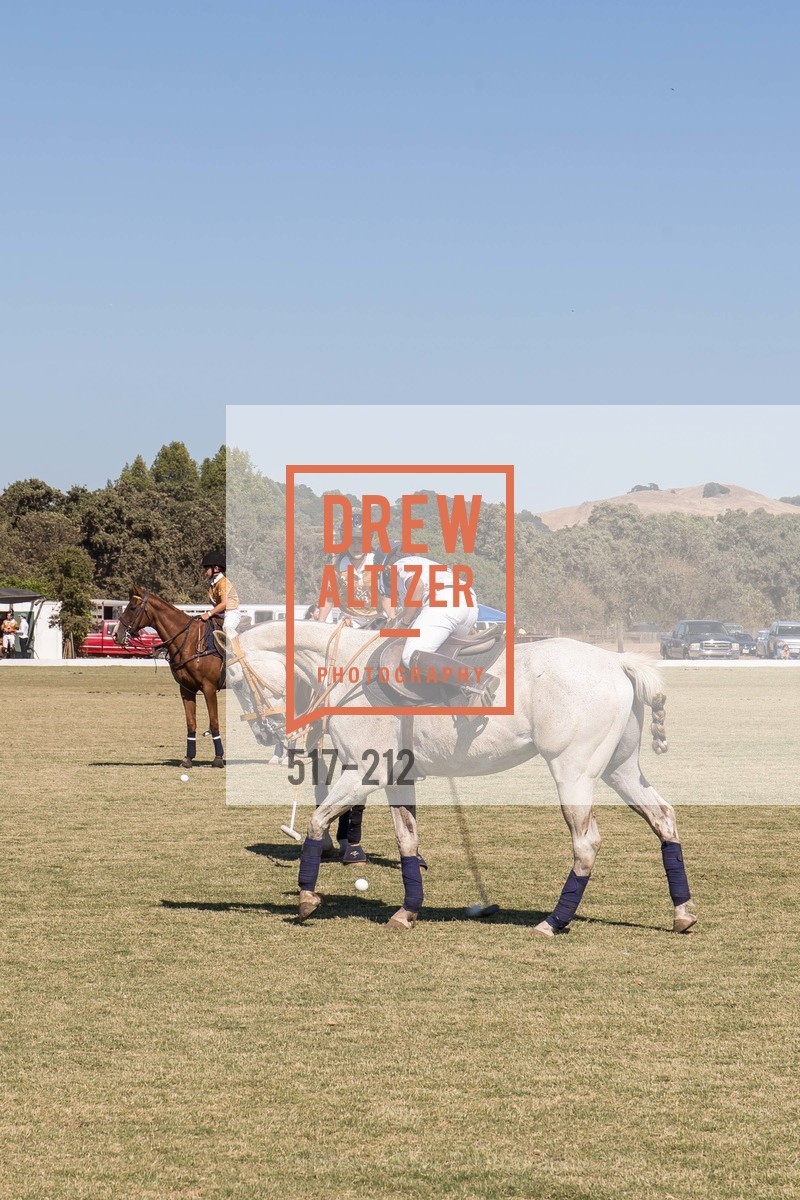 Polo Match, Stick & Ball Oyster Cup Polo Tournament, Cerro Pampa Polo Club, July 25th, 2015,Drew Altizer, Drew Altizer Photography, full-service agency, private events, San Francisco photographer, photographer california