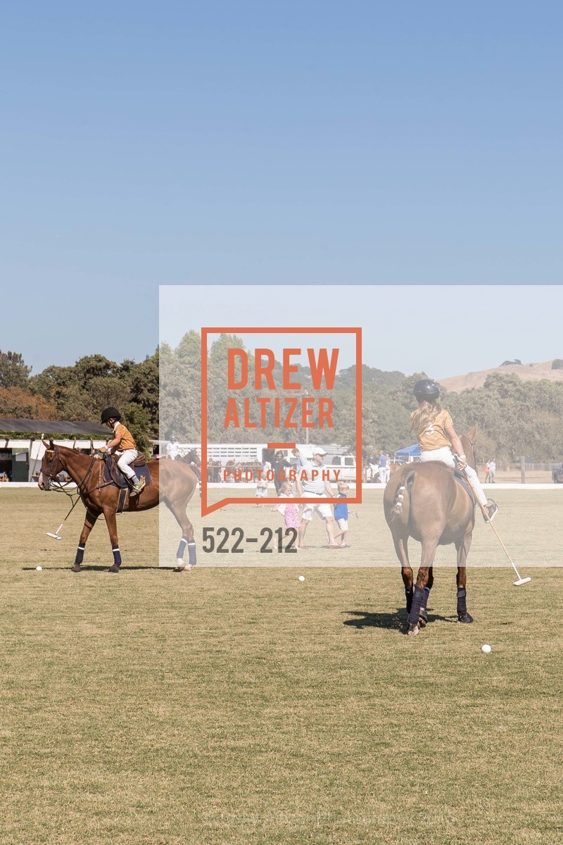 Polo Match, Photo #522-212