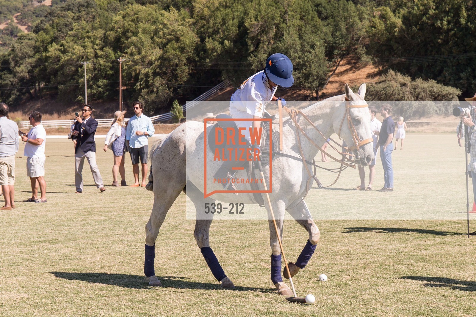 Polo Match, Stick & Ball Oyster Cup Polo Tournament, Cerro Pampa Polo Club, July 25th, 2015,Drew Altizer, Drew Altizer Photography, full-service agency, private events, San Francisco photographer, photographer california