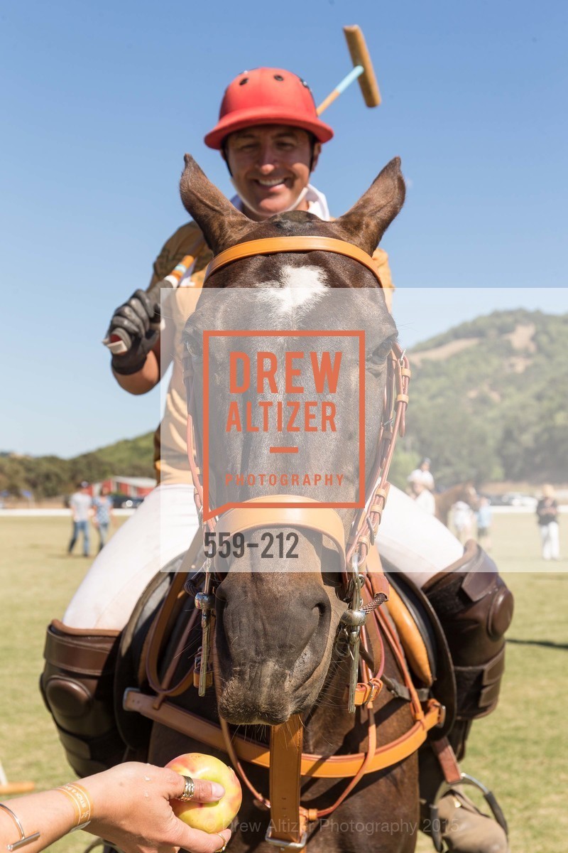 Atmosphere, Stick & Ball Oyster Cup Polo Tournament, Cerro Pampa Polo Club, July 25th, 2015,Drew Altizer, Drew Altizer Photography, full-service agency, private events, San Francisco photographer, photographer california