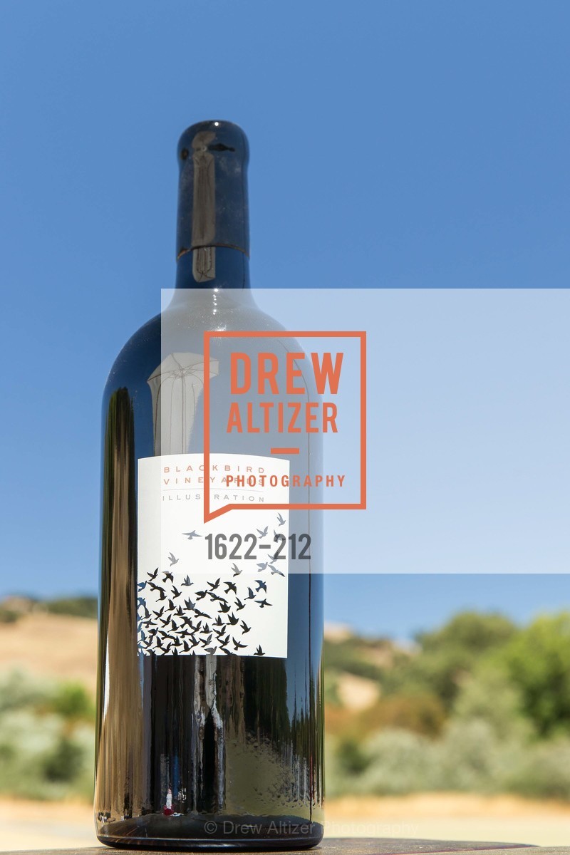Atmosphere, Stick & Ball Oyster Cup Polo Tournament, Cerro Pampa Polo Club, July 25th, 2015,Drew Altizer, Drew Altizer Photography, full-service agency, private events, San Francisco photographer, photographer california