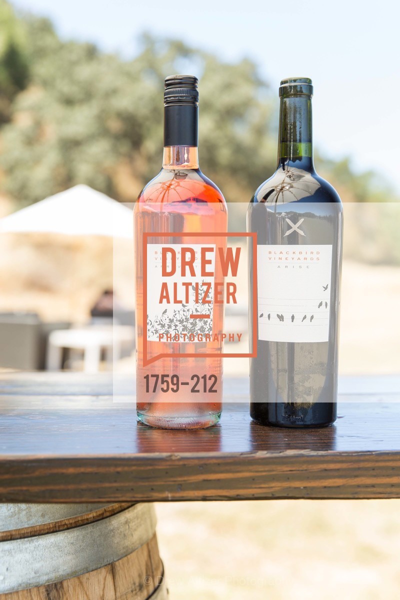 Atmosphere, Stick & Ball Oyster Cup Polo Tournament, Cerro Pampa Polo Club, July 25th, 2015,Drew Altizer, Drew Altizer Photography, full-service agency, private events, San Francisco photographer, photographer california