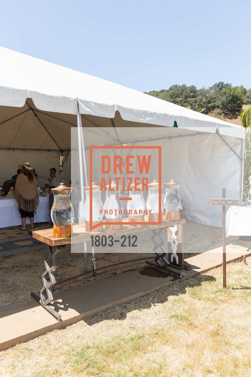 Atmosphere, Stick & Ball Oyster Cup Polo Tournament, Cerro Pampa Polo Club, July 25th, 2015,Drew Altizer, Drew Altizer Photography, full-service agency, private events, San Francisco photographer, photographer california