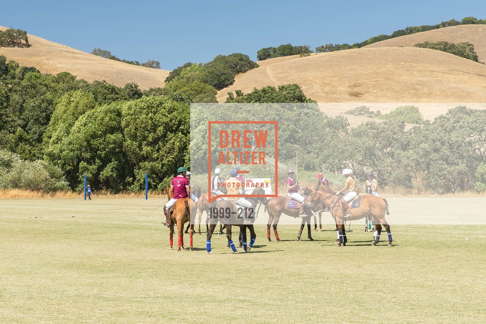 Polo Match, Stick & Ball Oyster Cup Polo Tournament, Cerro Pampa Polo Club, July 25th, 2015,Drew Altizer, Drew Altizer Photography, full-service agency, private events, San Francisco photographer, photographer california