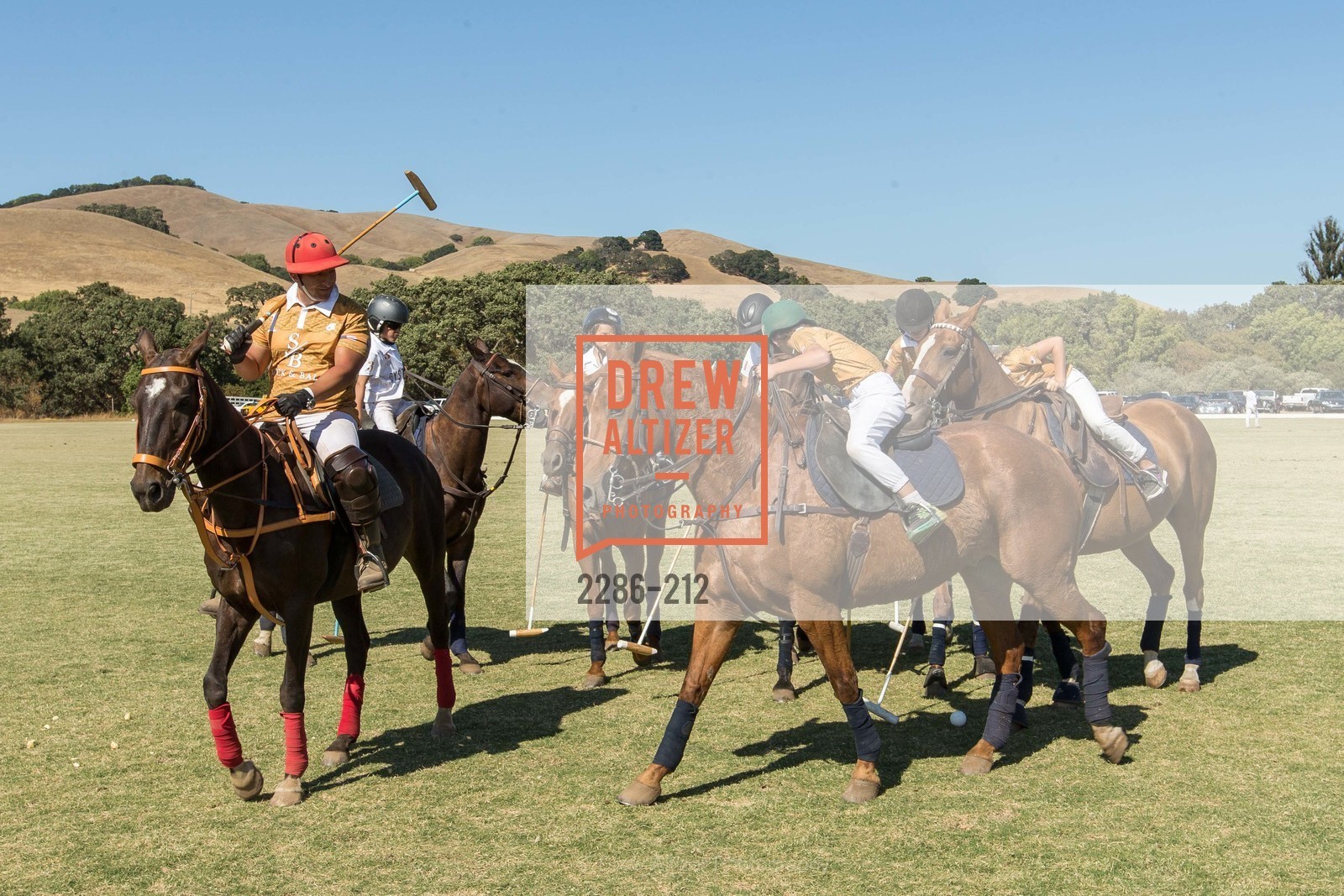 Polo Match, Stick & Ball Oyster Cup Polo Tournament, Cerro Pampa Polo Club, July 25th, 2015,Drew Altizer, Drew Altizer Photography, full-service agency, private events, San Francisco photographer, photographer california