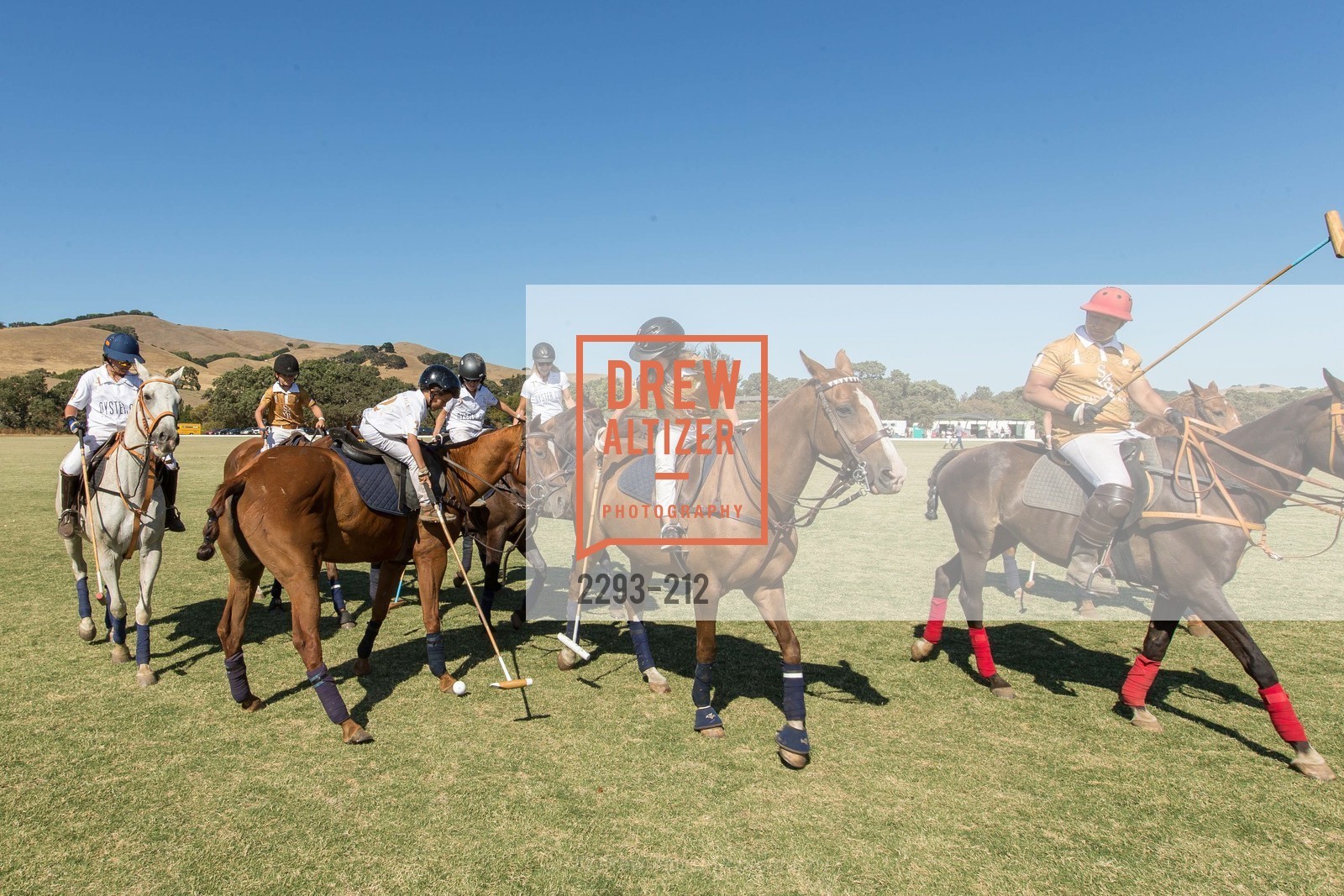 Polo Match, Photo #2293-212