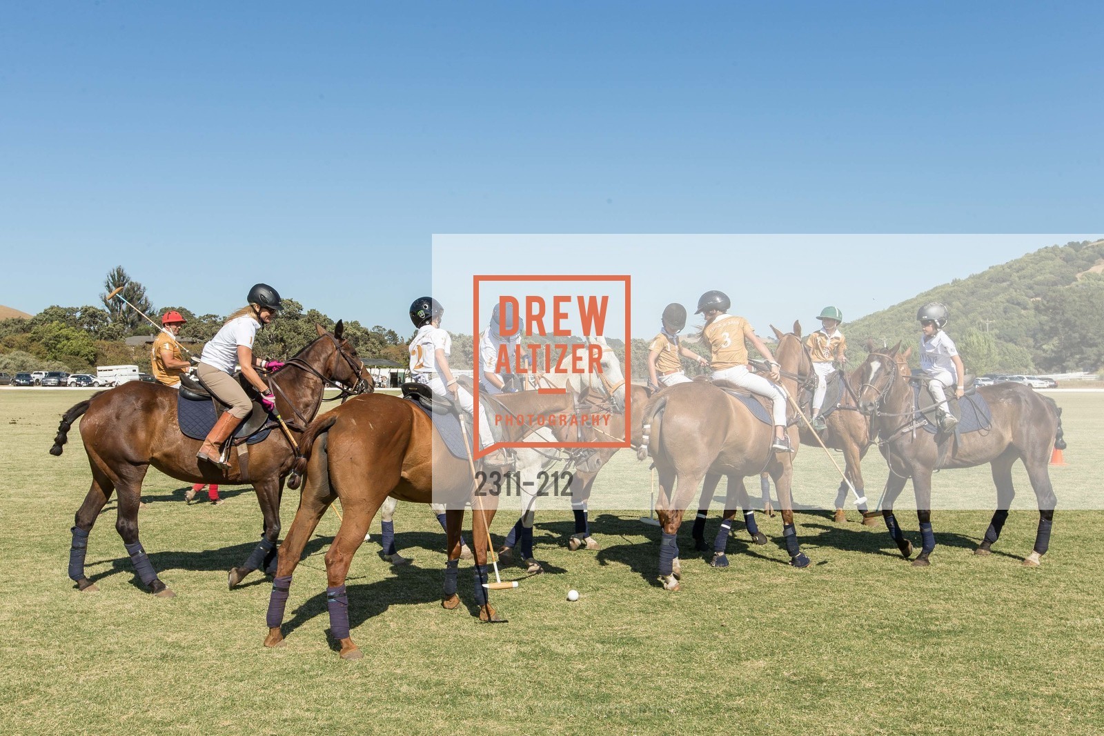 Polo Match, Photo #2311-212