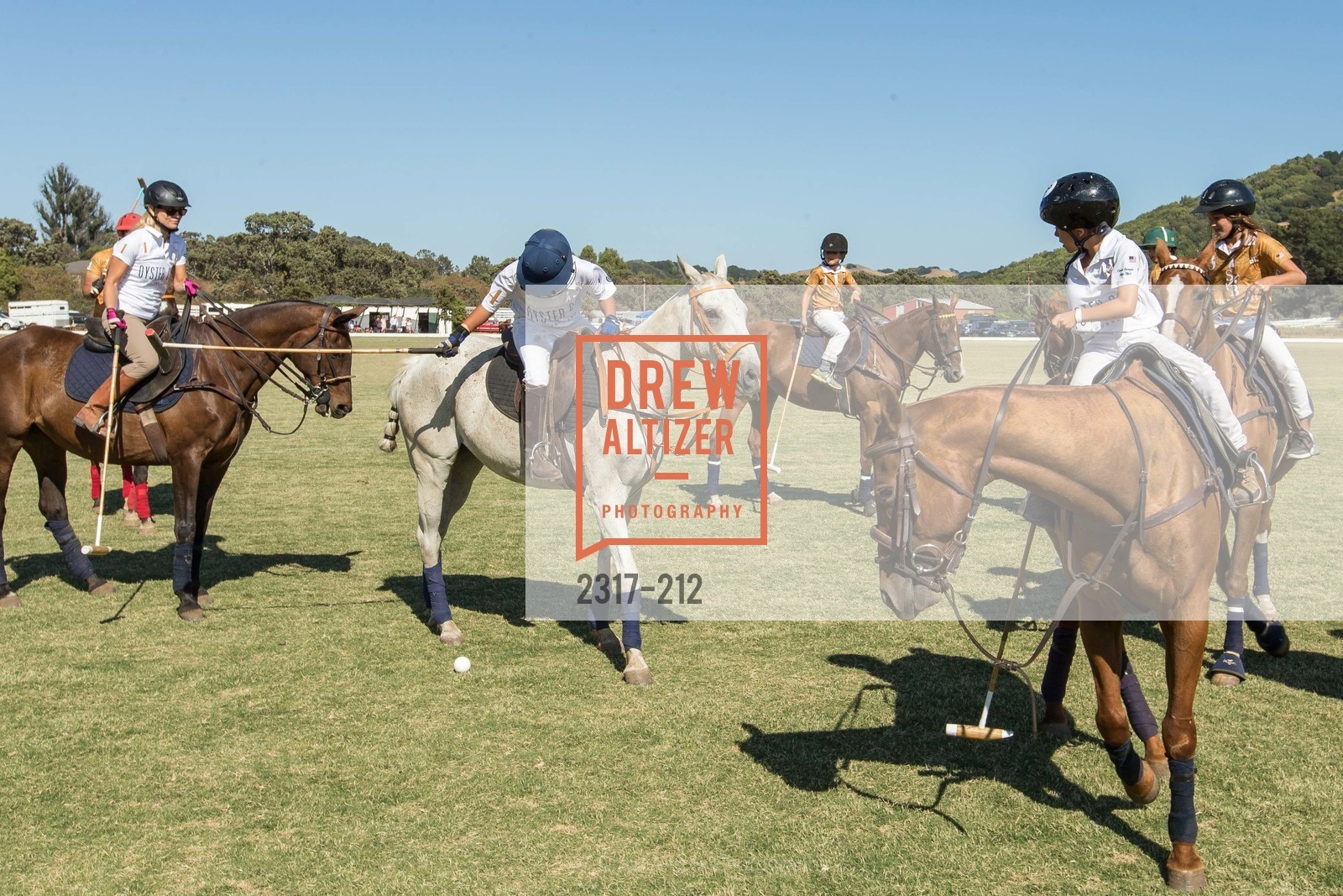 Polo Match, Photo #2317-212