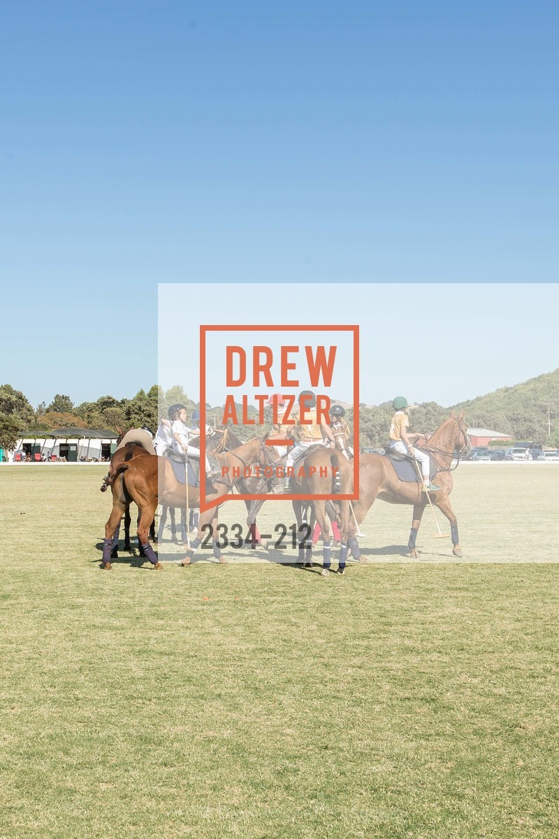 Polo Match, Stick & Ball Oyster Cup Polo Tournament, Cerro Pampa Polo Club, July 25th, 2015,Drew Altizer, Drew Altizer Photography, full-service agency, private events, San Francisco photographer, photographer california