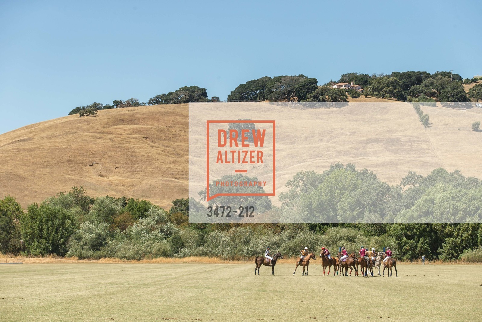 Polo Match, Stick & Ball Oyster Cup Polo Tournament, Cerro Pampa Polo Club, July 25th, 2015,Drew Altizer, Drew Altizer Photography, full-service agency, private events, San Francisco photographer, photographer california