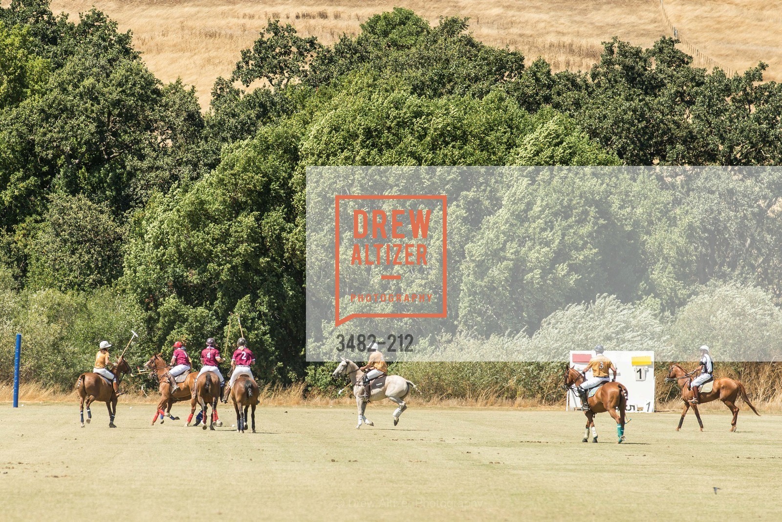 Polo Match, Gucci & Vogue Dinner, Cerro Pampa Polo Club. Cerro Pampa Polo Club, Photo #3482-212 Polo Match, Photo #3482-212