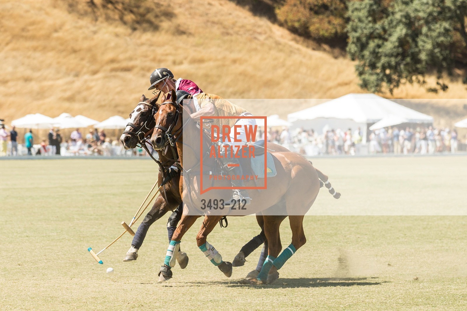 Polo Match, Stick & Ball Oyster Cup Polo Tournament, Cerro Pampa Polo Club, July 25th, 2015