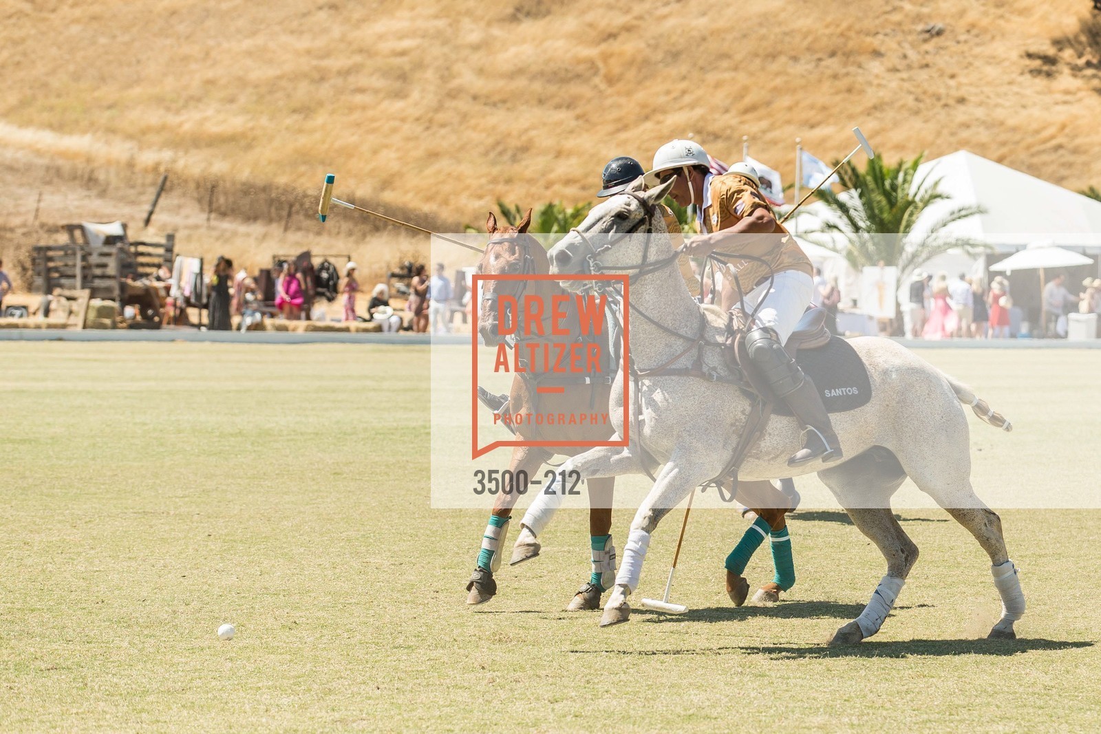 Polo Match, Gucci & Vogue Dinner, Cerro Pampa Polo Club. Cerro Pampa Polo Club, Photo #3500-212 Polo Match, Photo #3500-212