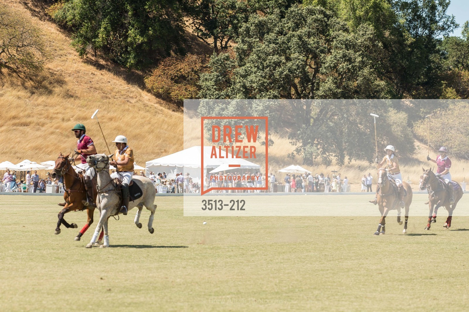 Polo Match, Gucci & Vogue Dinner, Cerro Pampa Polo Club. Cerro Pampa Polo Club, Photo #3513-212 Polo Match, Photo #3513-212