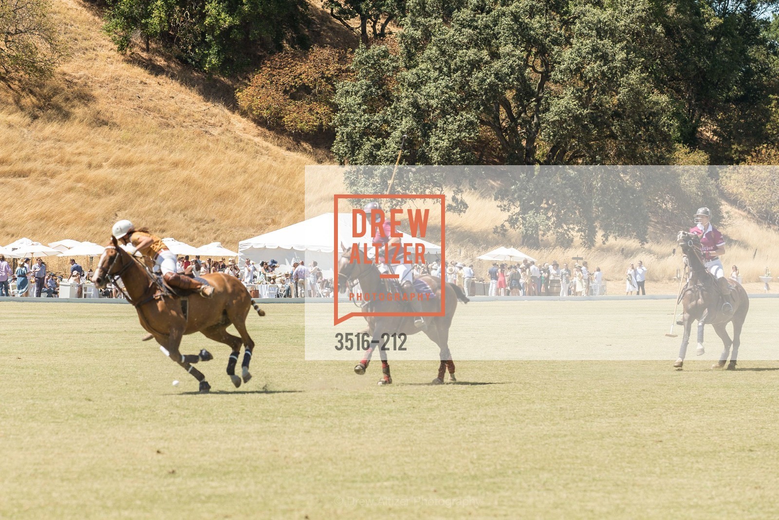 Polo Match, Stick & Ball Oyster Cup Polo Tournament, Cerro Pampa Polo Club, July 25th, 2015,Drew Altizer, Drew Altizer Photography, full-service event agency, private events, San Francisco photographer, photographer California