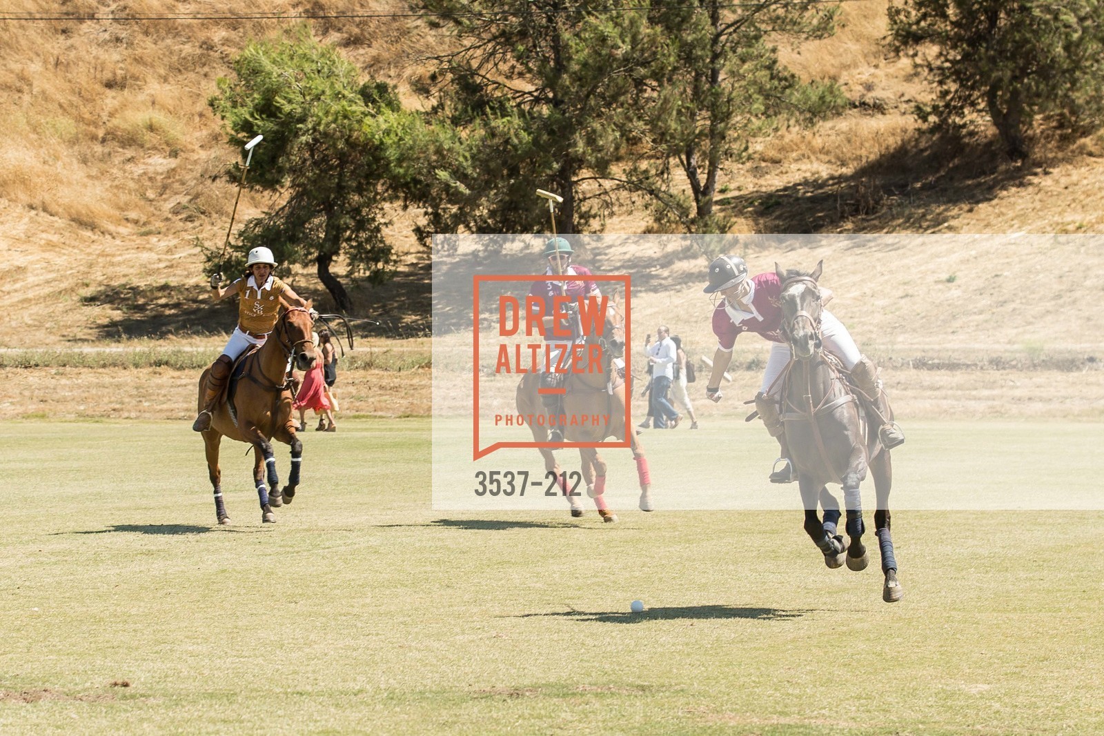 Polo Match, Gucci & Vogue Dinner, Cerro Pampa Polo Club. Cerro Pampa Polo Club, Photo #3537-212 Polo Match, Photo #3537-212