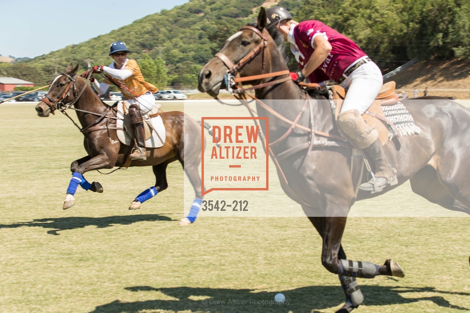 Polo Match, Stick & Ball Oyster Cup Polo Tournament, Cerro Pampa Polo Club, July 25th, 2015,Drew Altizer, Drew Altizer Photography, full-service agency, private events, San Francisco photographer, photographer california
