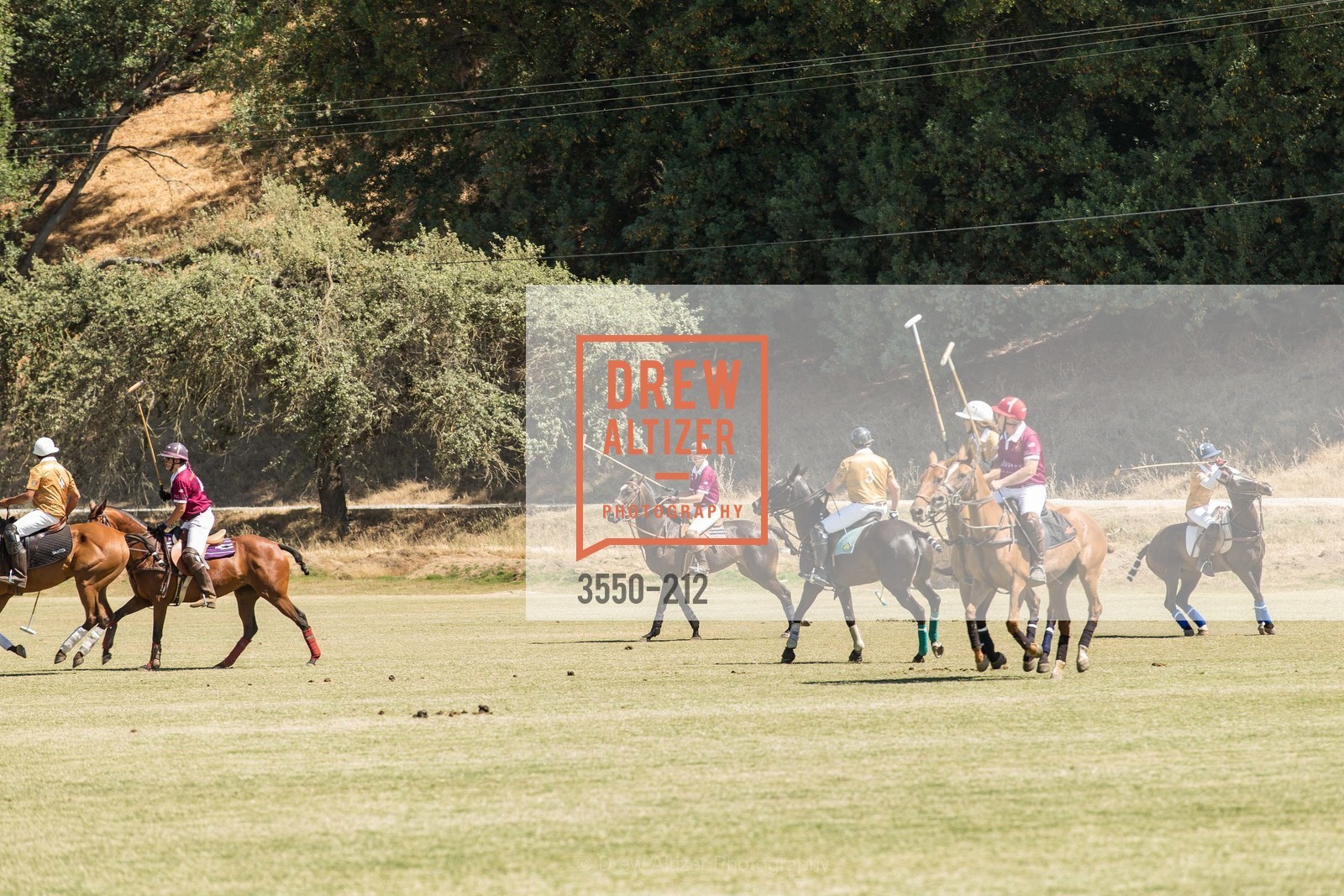 Polo Match, Gucci & Vogue Dinner, Cerro Pampa Polo Club. Cerro Pampa Polo Club, Photo #3550-212 Polo Match, Photo #3550-212