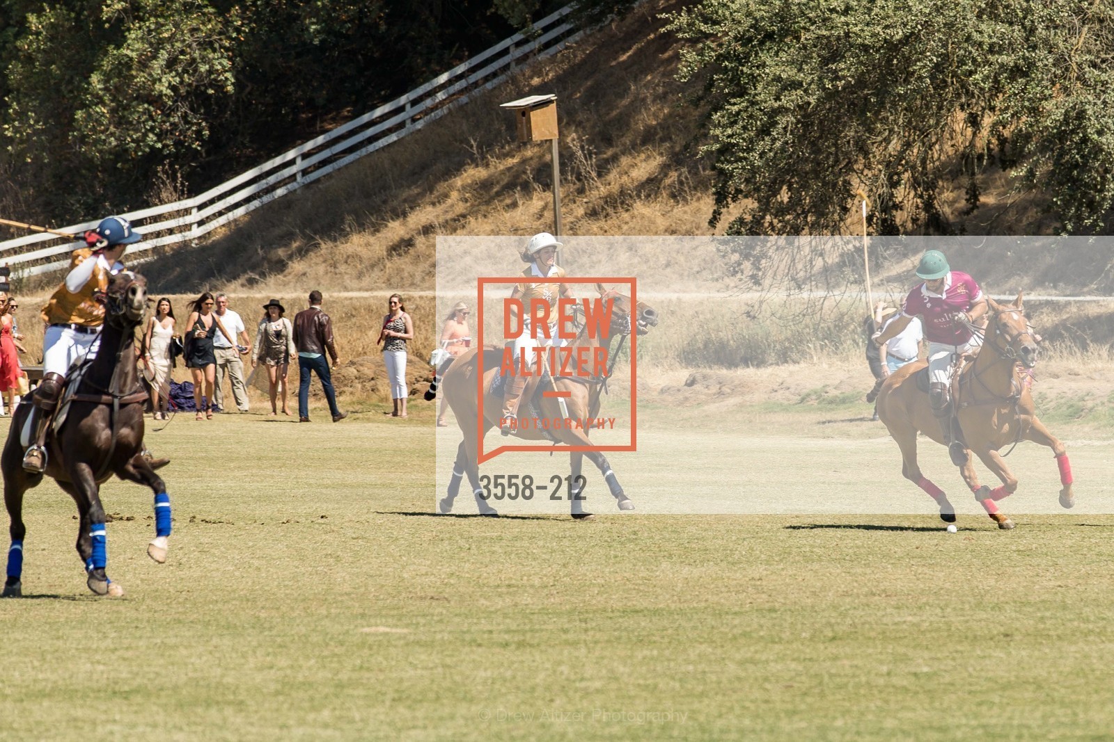 Polo Match, Gucci & Vogue Dinner, Cerro Pampa Polo Club. Cerro Pampa Polo Club, Photo #3558-212 Polo Match, Photo #3558-212