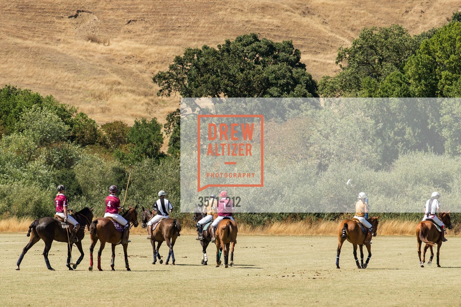 Polo Match, Photo #3571-212