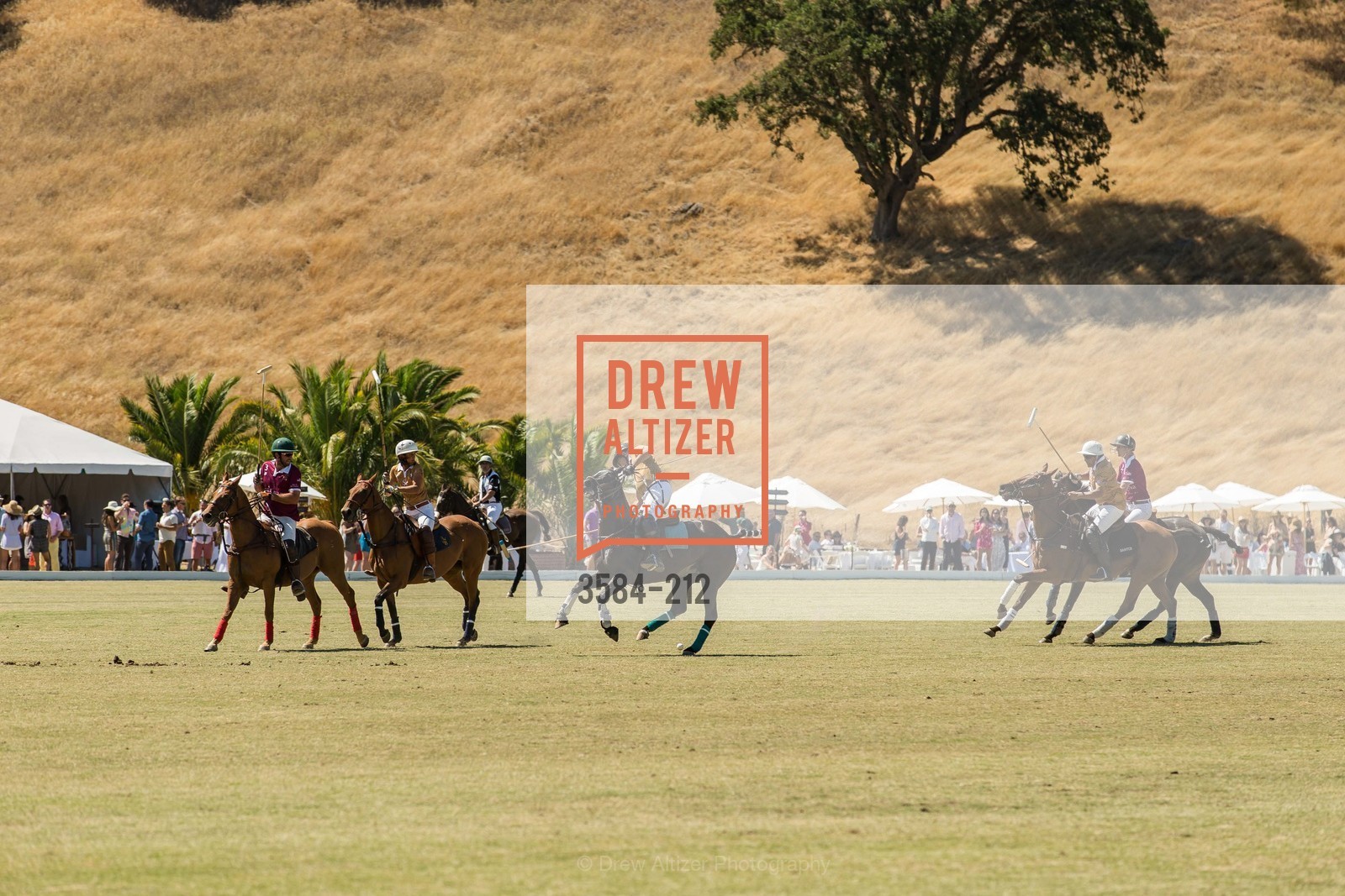Polo Match, Stick & Ball Oyster Cup Polo Tournament, Cerro Pampa Polo Club, July 25th, 2015,Drew Altizer, Drew Altizer Photography, full-service agency, private events, San Francisco photographer, photographer california