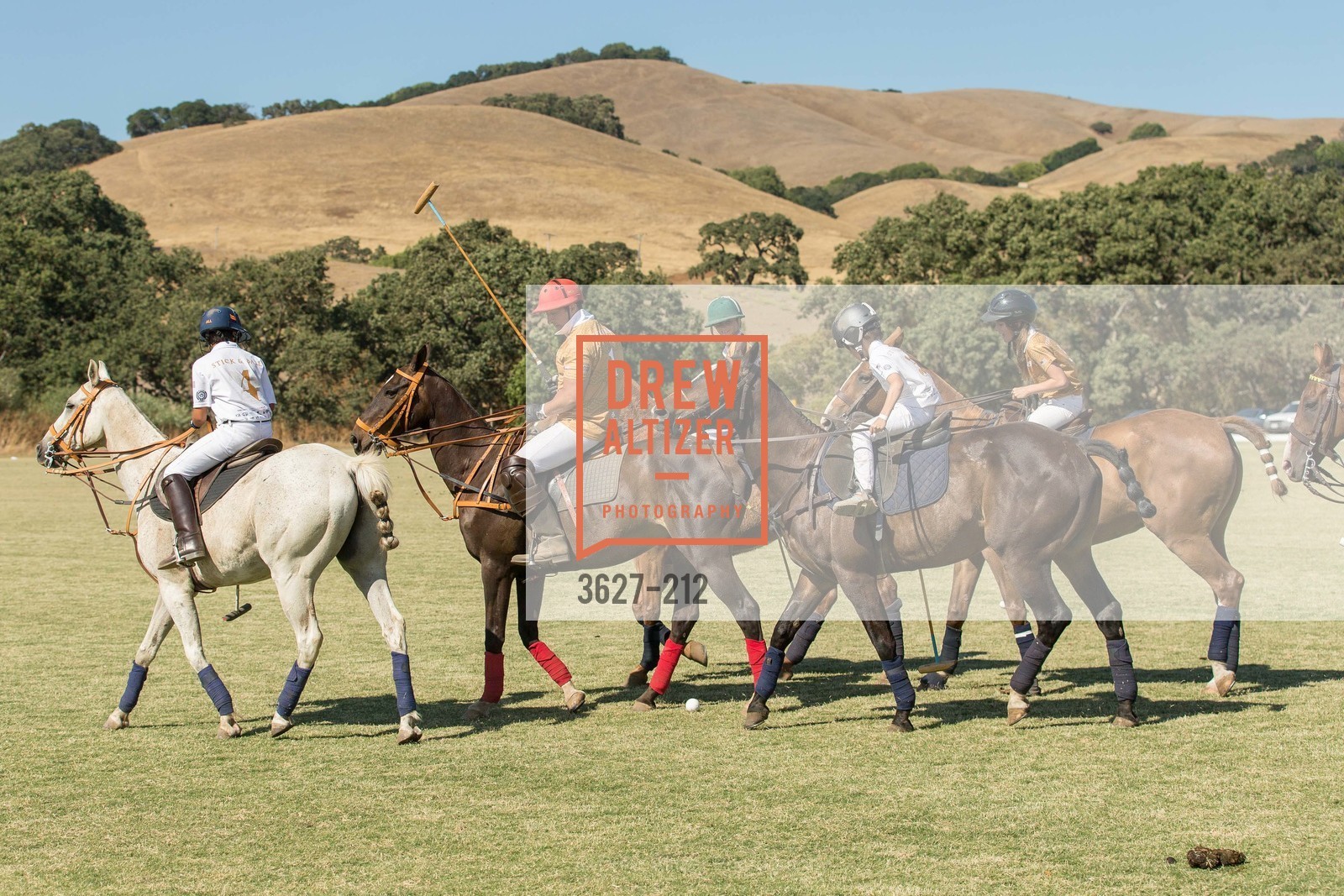 Polo Match, Gucci & Vogue Dinner, Cerro Pampa Polo Club. Cerro Pampa Polo Club, Photo #3627-212 Polo Match, Photo #3627-212