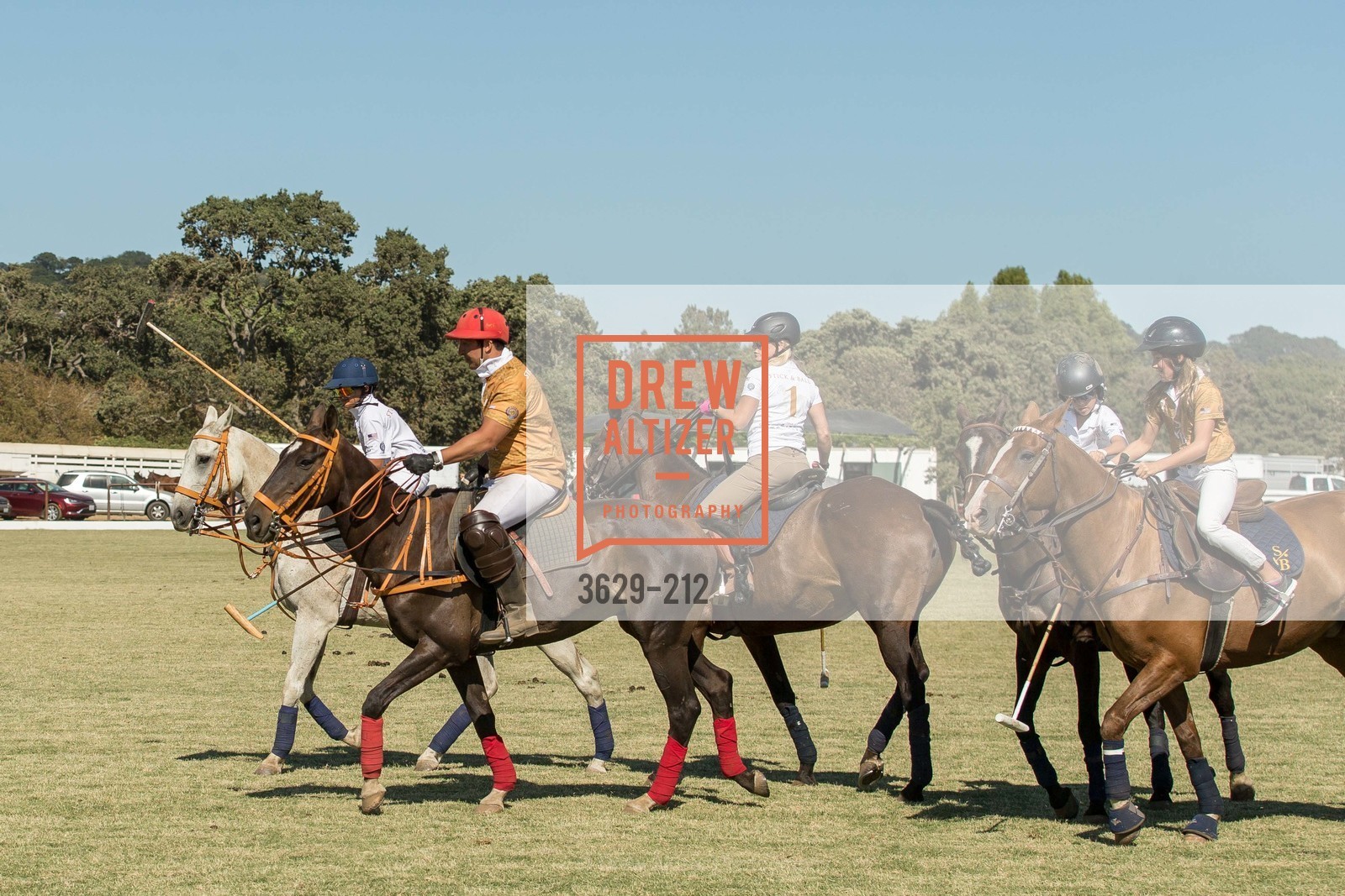 Polo Match, Stick & Ball Oyster Cup Polo Tournament, Cerro Pampa Polo Club, July 25th, 2015,Drew Altizer, Drew Altizer Photography, full-service event agency, private events, San Francisco photographer, photographer California
