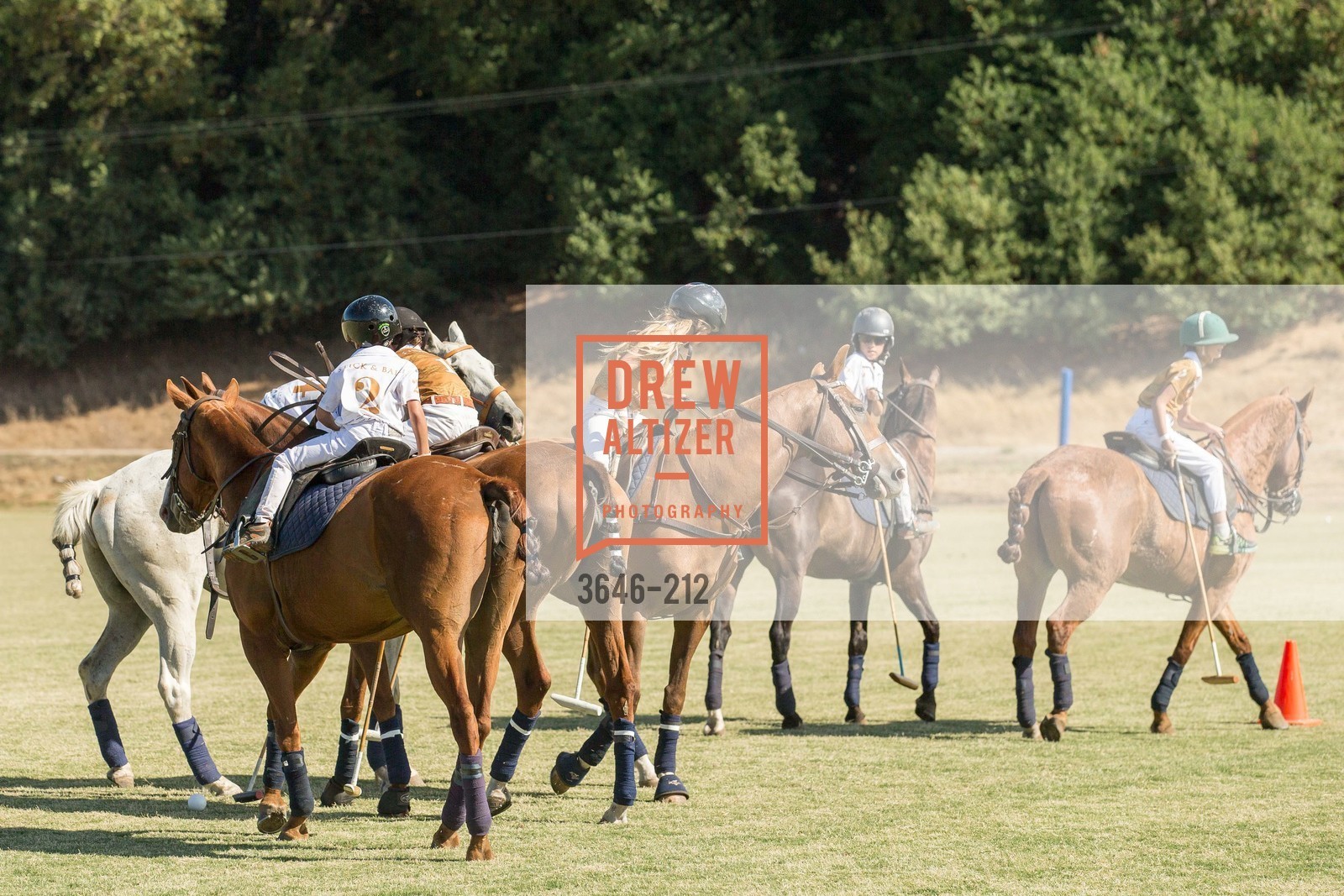Polo Match, Gucci & Vogue Dinner, Cerro Pampa Polo Club. Cerro Pampa Polo Club, Photo #3646-212 Polo Match, Photo #3646-212