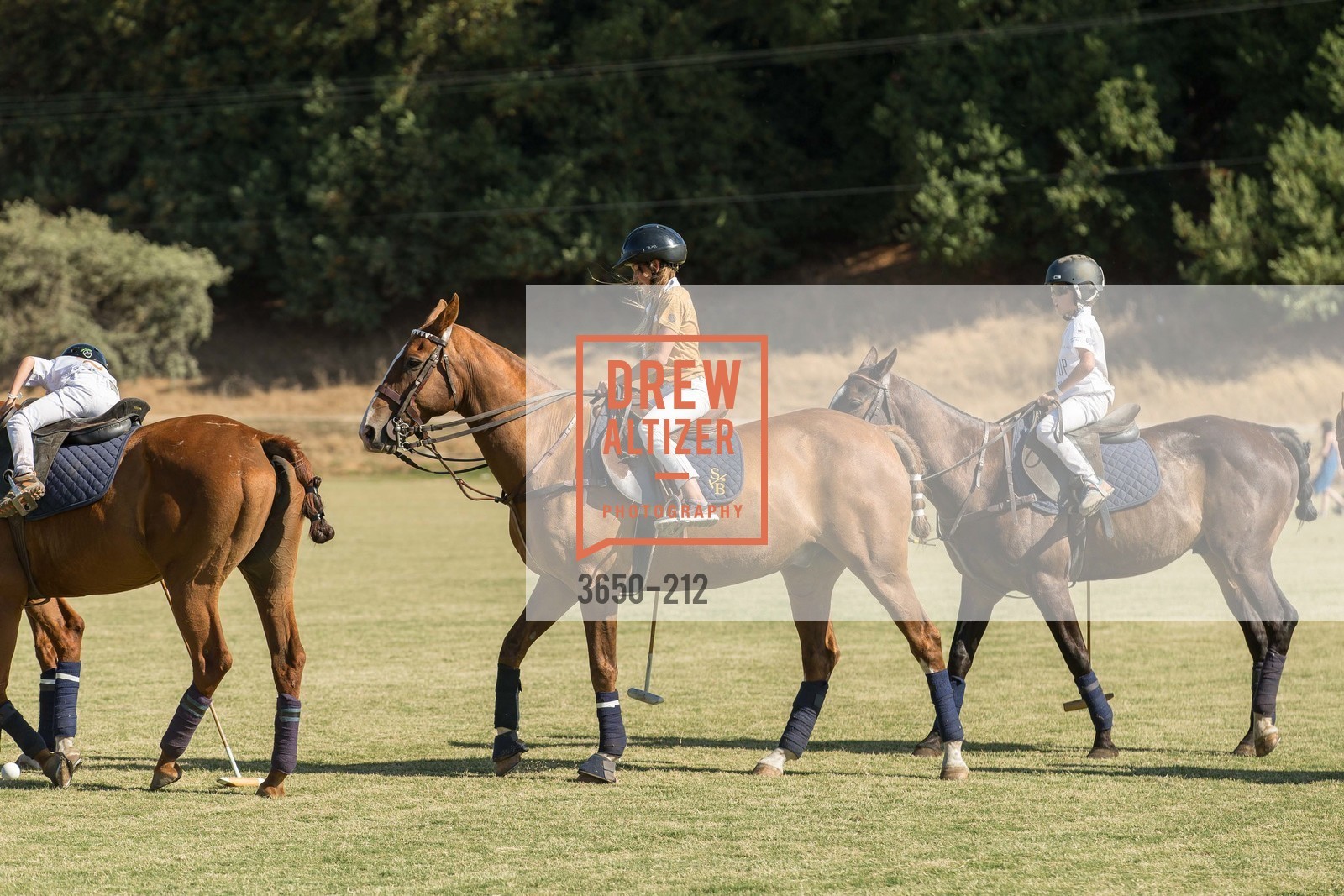 Polo Match, Stick & Ball Oyster Cup Polo Tournament, Cerro Pampa Polo Club, July 25th, 2015,Drew Altizer, Drew Altizer Photography, full-service event agency, private events, San Francisco photographer, photographer California