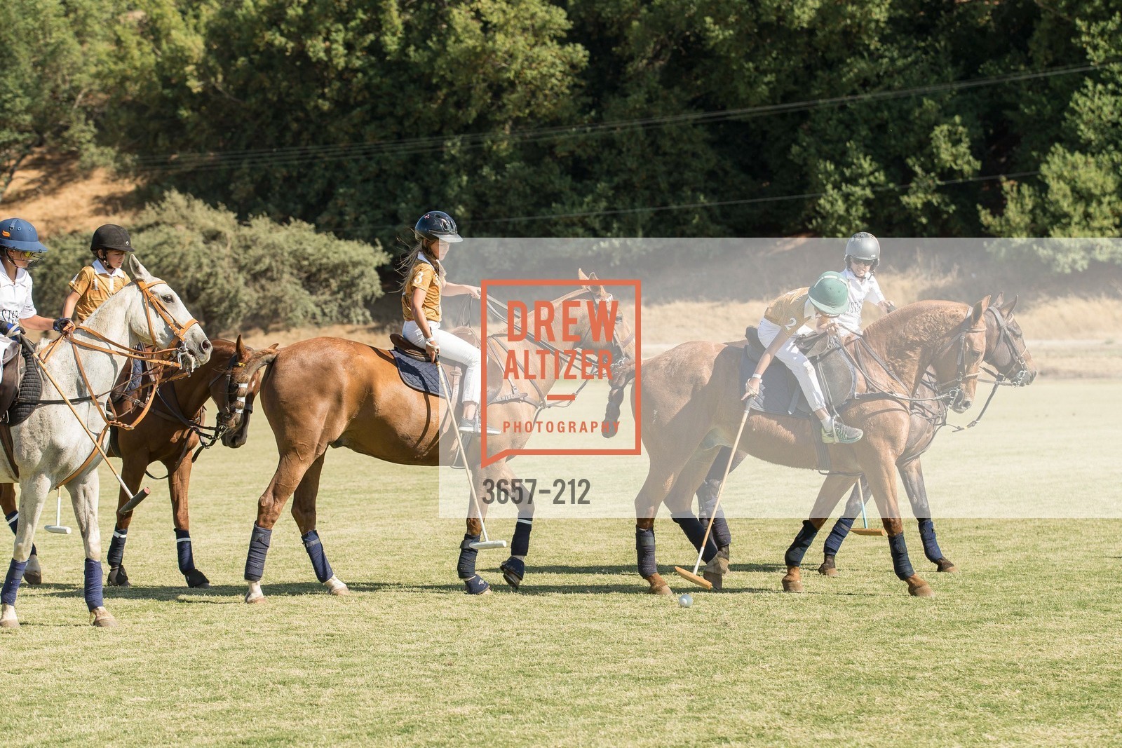 Polo Match, Stick & Ball Oyster Cup Polo Tournament, Cerro Pampa Polo Club, July 25th, 2015