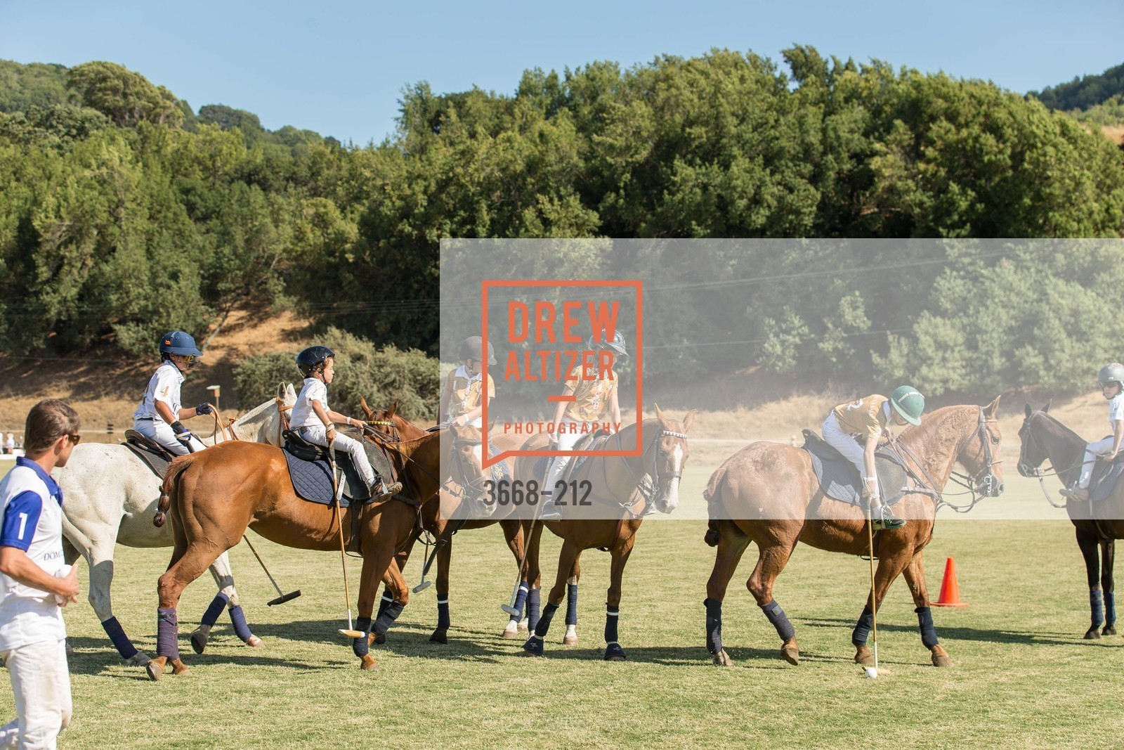 Polo Match, Stick & Ball Oyster Cup Polo Tournament, Cerro Pampa Polo Club, July 25th, 2015,Drew Altizer, Drew Altizer Photography, full-service agency, private events, San Francisco photographer, photographer california