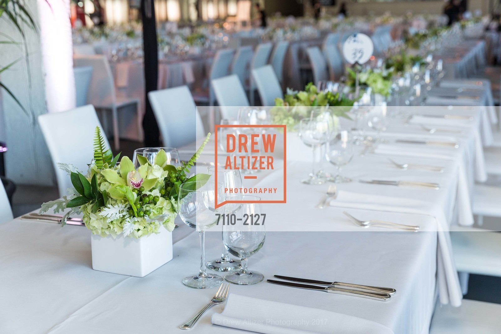 Atmosphere, EWG's 8th Annual Earth Dinner, Pier 35. 1454 The Embarcadero, May 2nd, 2017, Photo #7110-2127 Atmosphere, Photo #7110-2127