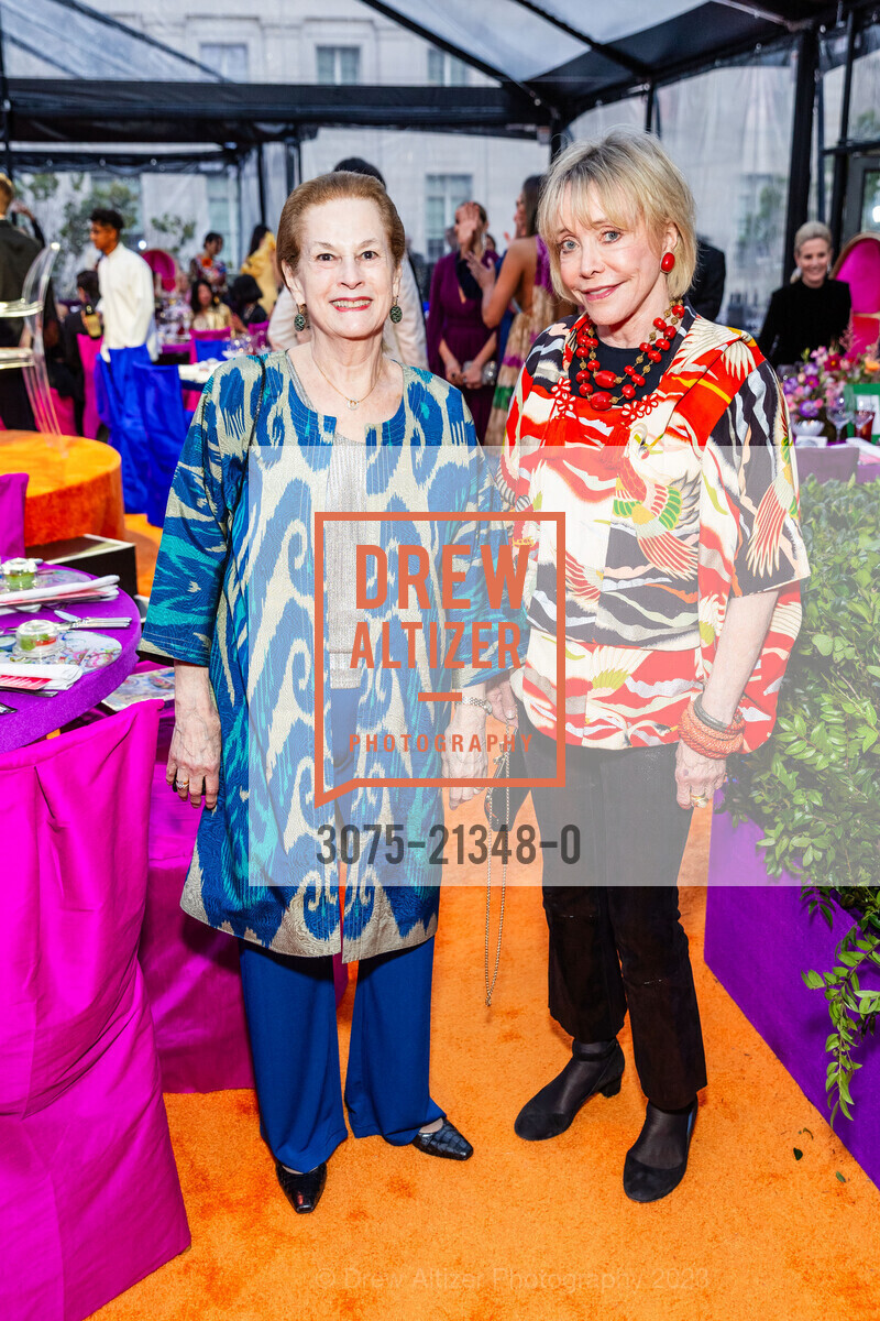 Marcia Handley, Merrill Randoll Sherwin, Asian Art Museum's 2023 Gala Celebrating Takashi Murakami and "Unfamiliar People", Asian Art Museum @ 200 Larkin St, SF, CA 94102 US. Asian Art Museum @ 200 Larkin St, SF, CA 94102 US, September 13th, 2023, Photo #3075-21348-0 Marcia Handley, Merrill Randoll Sherwin, Photo #3075-21348-0