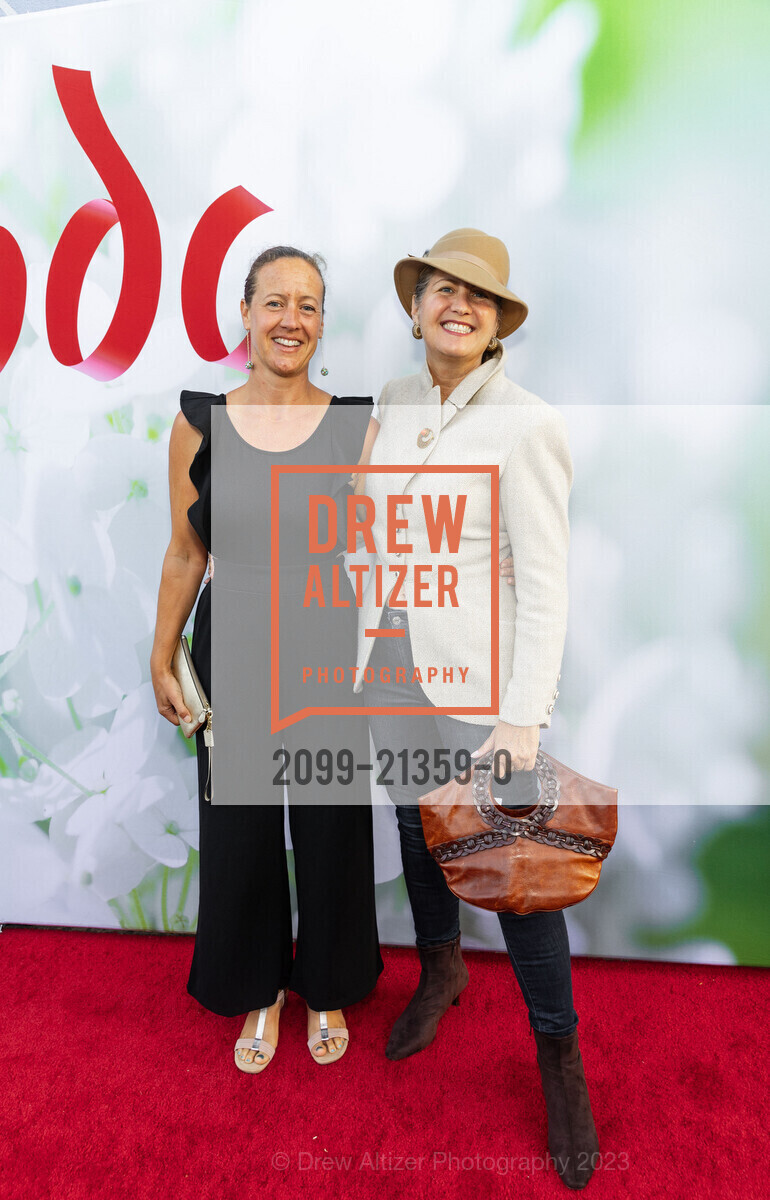 Dahlia Stein, Sue Yerou, Photo #2099-21359-0