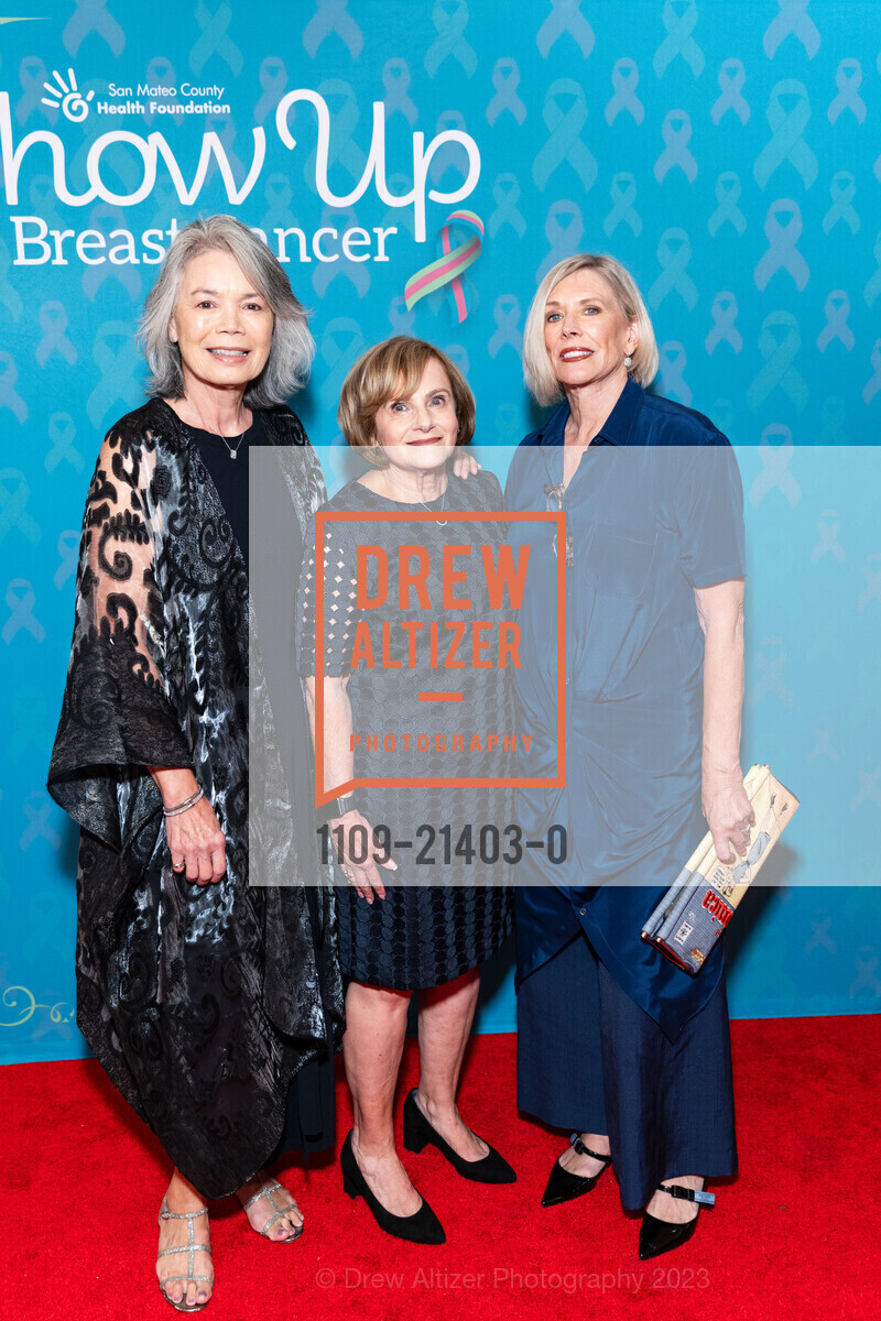 Babs Harband, Kathy Baruh, Terri Neill, San Mateo County Health Foundation's Gala, Carolands. 565 Remillard Dr, Hillsborough, CA 94010 US, October 6th, 2023, Photo #1109-21403-0 Babs Harband, Kathy Baruh, Terri Neill, Photo #1109-21403-0