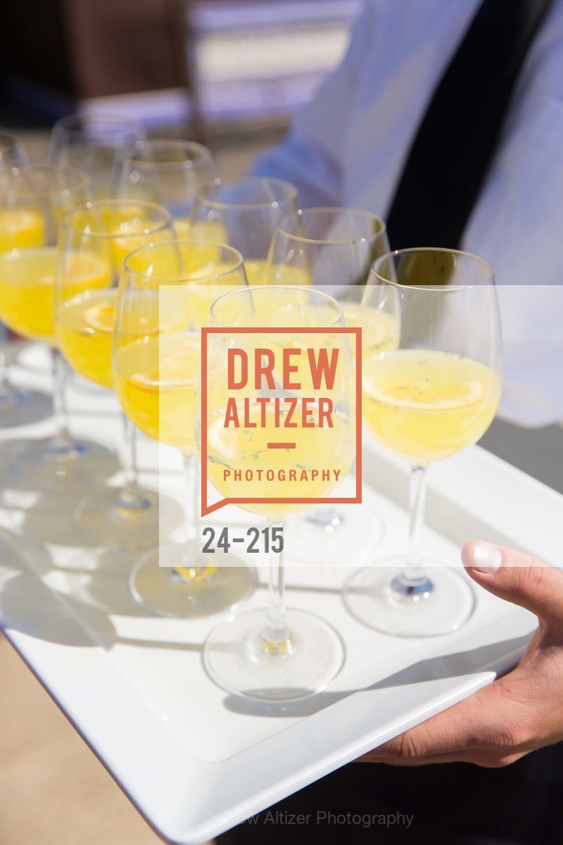 Atmosphere, 2015 GIANT STEPS Charity Classic presented by Hermes, Sonoma Horse Park. 7600 Lakeville Highway, August 1st, 2015,Drew Altizer, Drew Altizer Photography, full-service agency, private events, San Francisco photographer, photographer california