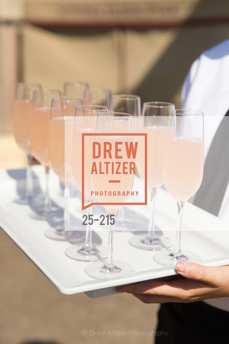 Atmosphere, 2015 GIANT STEPS Charity Classic presented by Hermes, Sonoma Horse Park. 7600 Lakeville Highway, August 1st, 2015,Drew Altizer, Drew Altizer Photography, full-service agency, private events, San Francisco photographer, photographer california